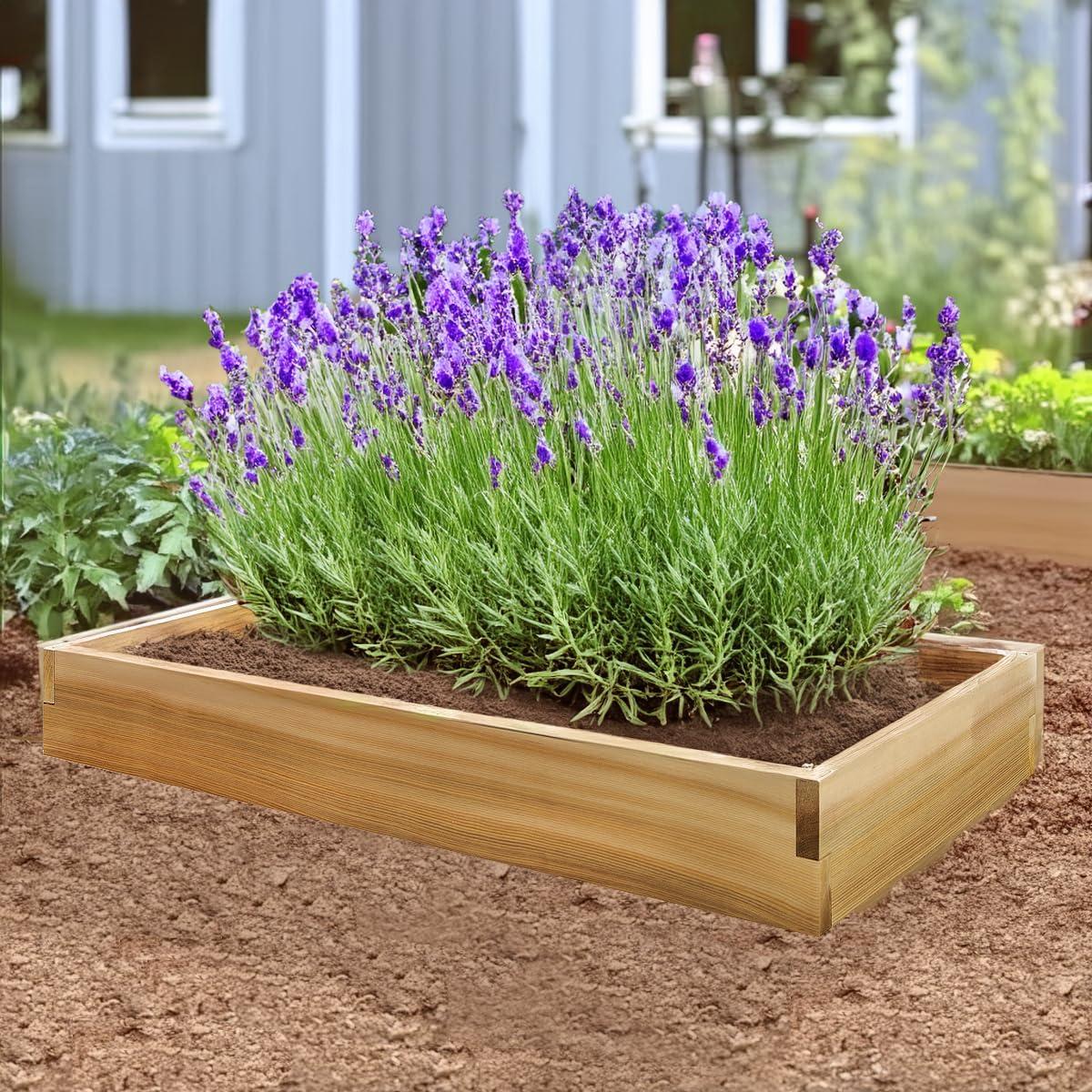 All Things Cedar RG48 4-ft x 2-ft Raised Garden Box | Expandable Plant Bed - 46L x 22W x 5.25H