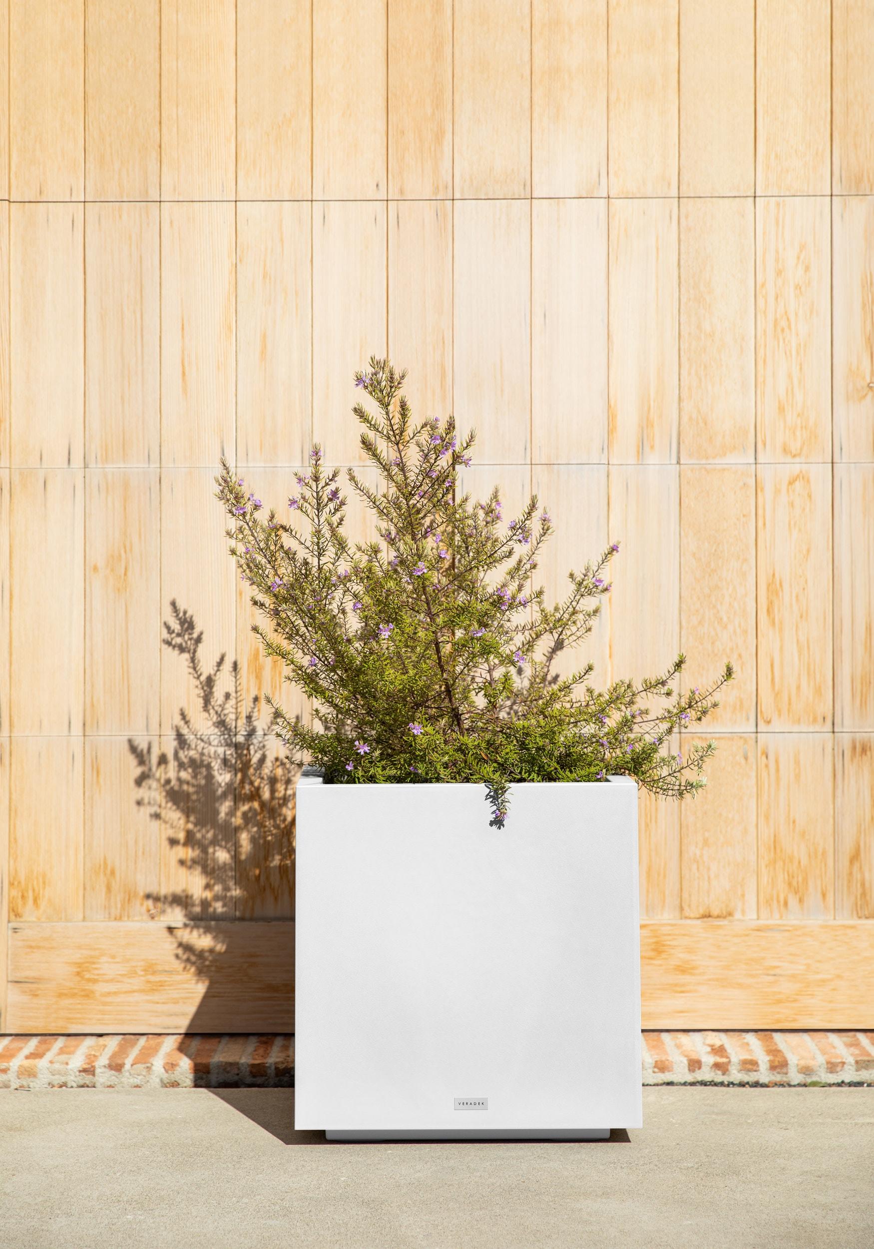 Block Series Cube Planter