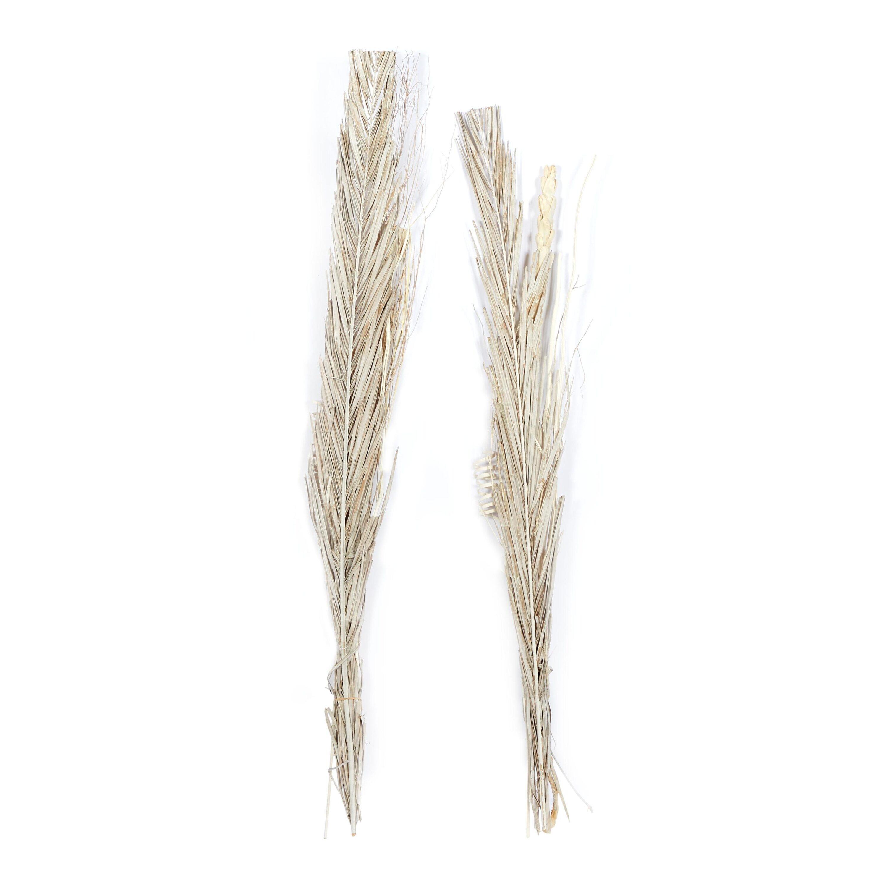 DecMode Farmhouse Dried Floral Natural Foliage Set of 2, 7"W x 56"H, with Brown, White and Beige Finish