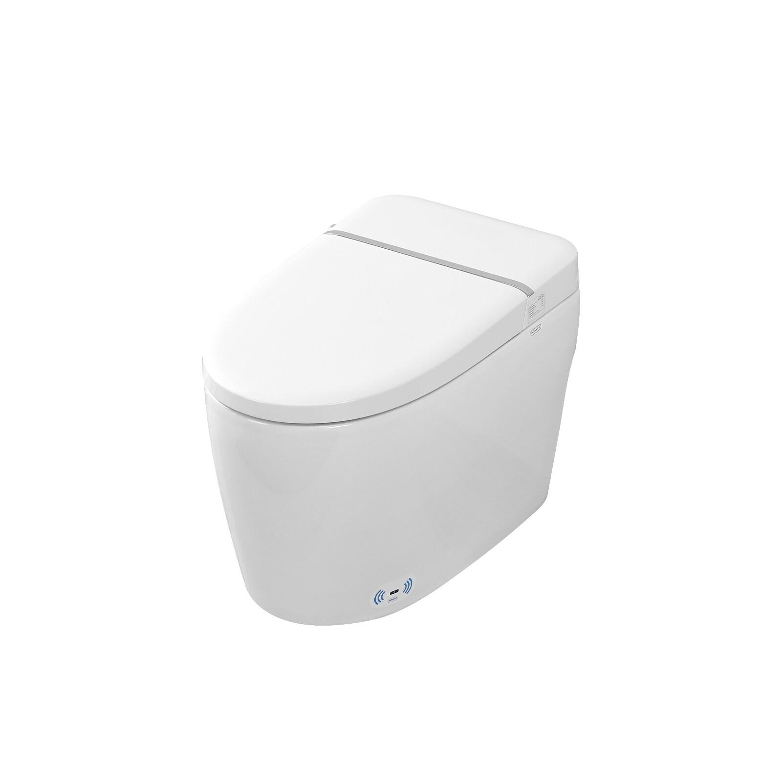 VIBRANTBATH 1.1 Gallons GPF Elongated Bidet Toilet (Seat Included)