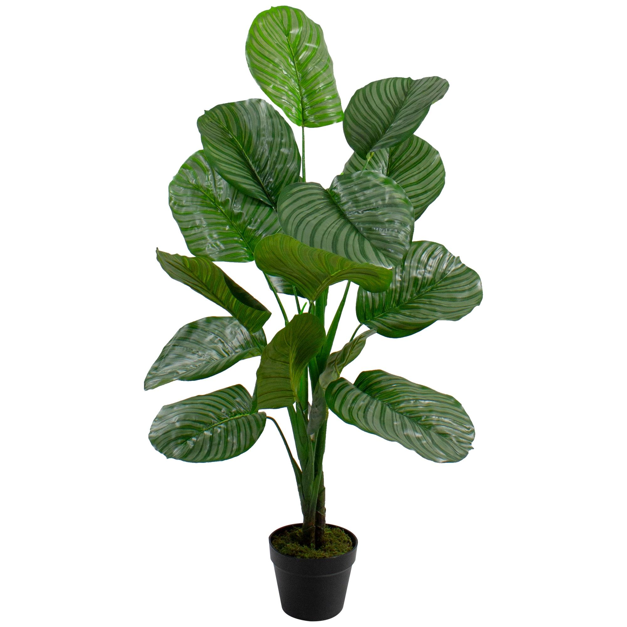 Northlight 4' Potted Two Tone Green Calathea Artificial Floor Plant