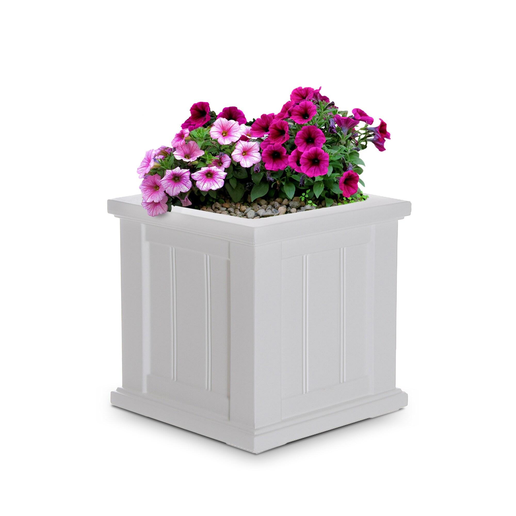 Mayne Cape Cod 14" x 14" x 14" Square White Self-Watering Polyethylene Planter