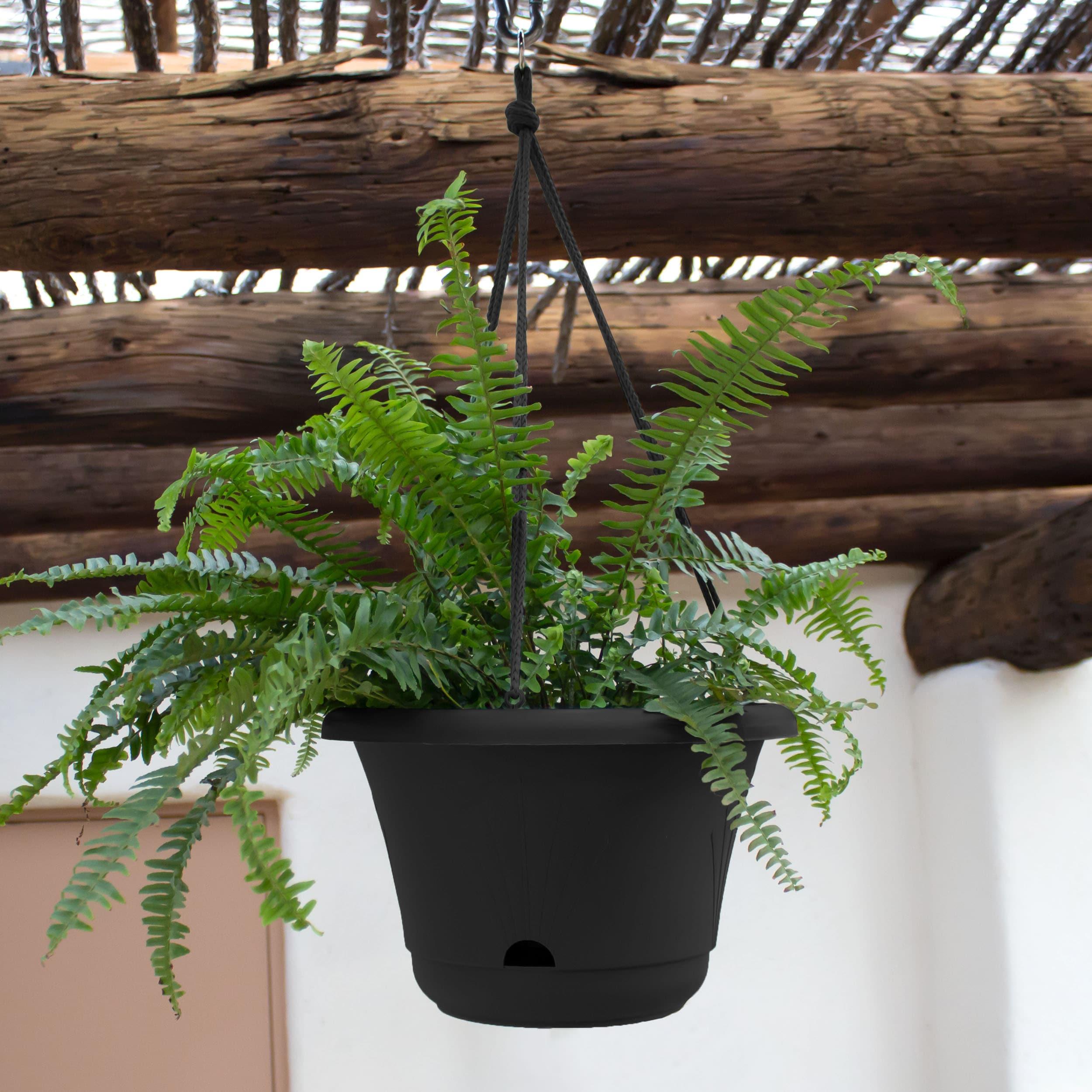 Bloem Lucca Self Watering Hanging Basket: 13" - Black - Durable and Long Lasting Plastic Pot, Macrame Hanger with Ring, For Indoor and Outdoor Use, Gardening, 2 Gallon Capacity