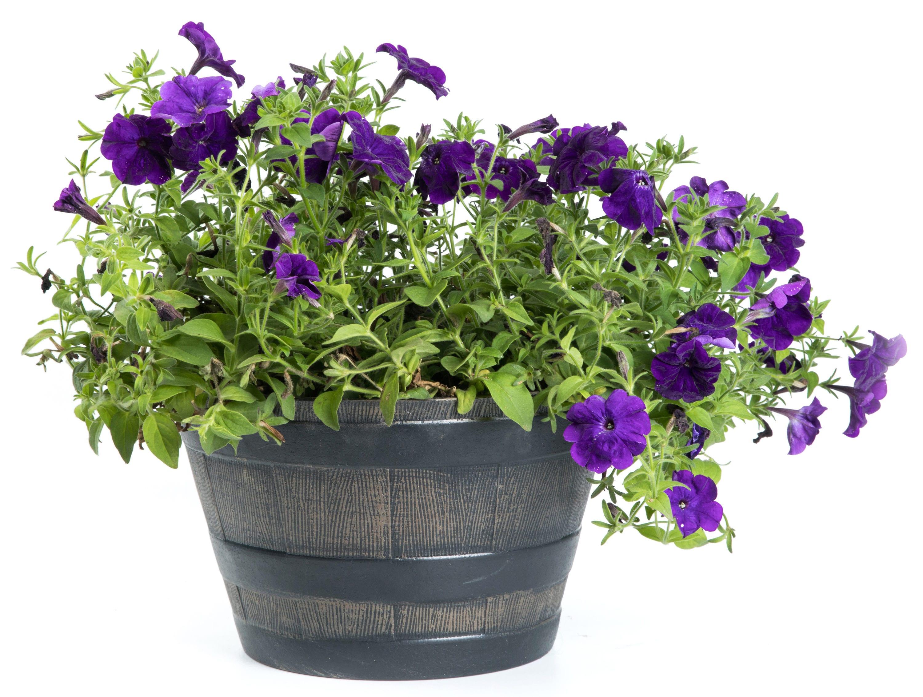 ardenised 4-Piece Round Half Barrel Flower Pots Rustic Farmhouse Style Faux Wood Planter Containers for Indoor & Outdoor Use