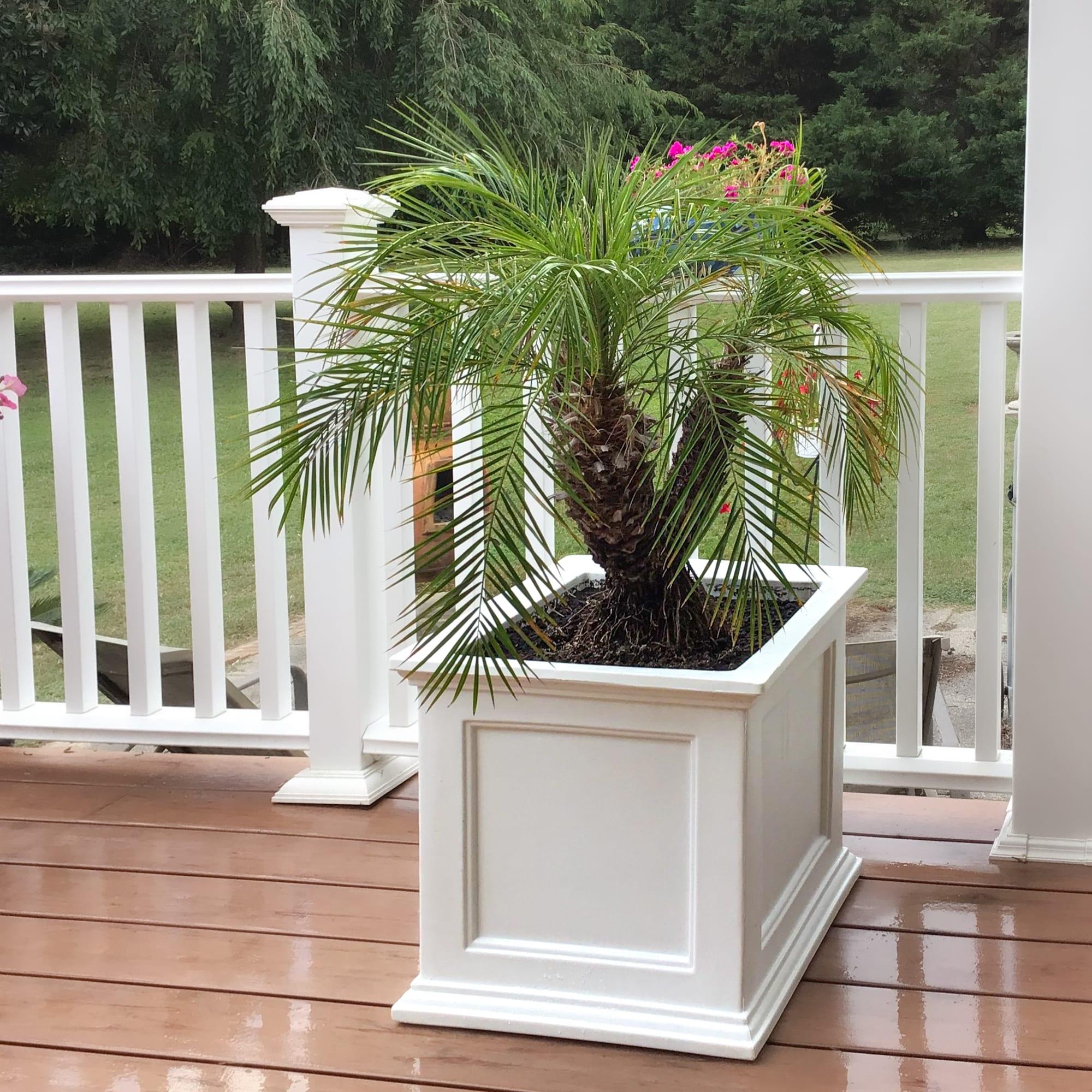 Mayne Fairfield 20" x 20" x 20" Square White Self Watering Plastic Planter