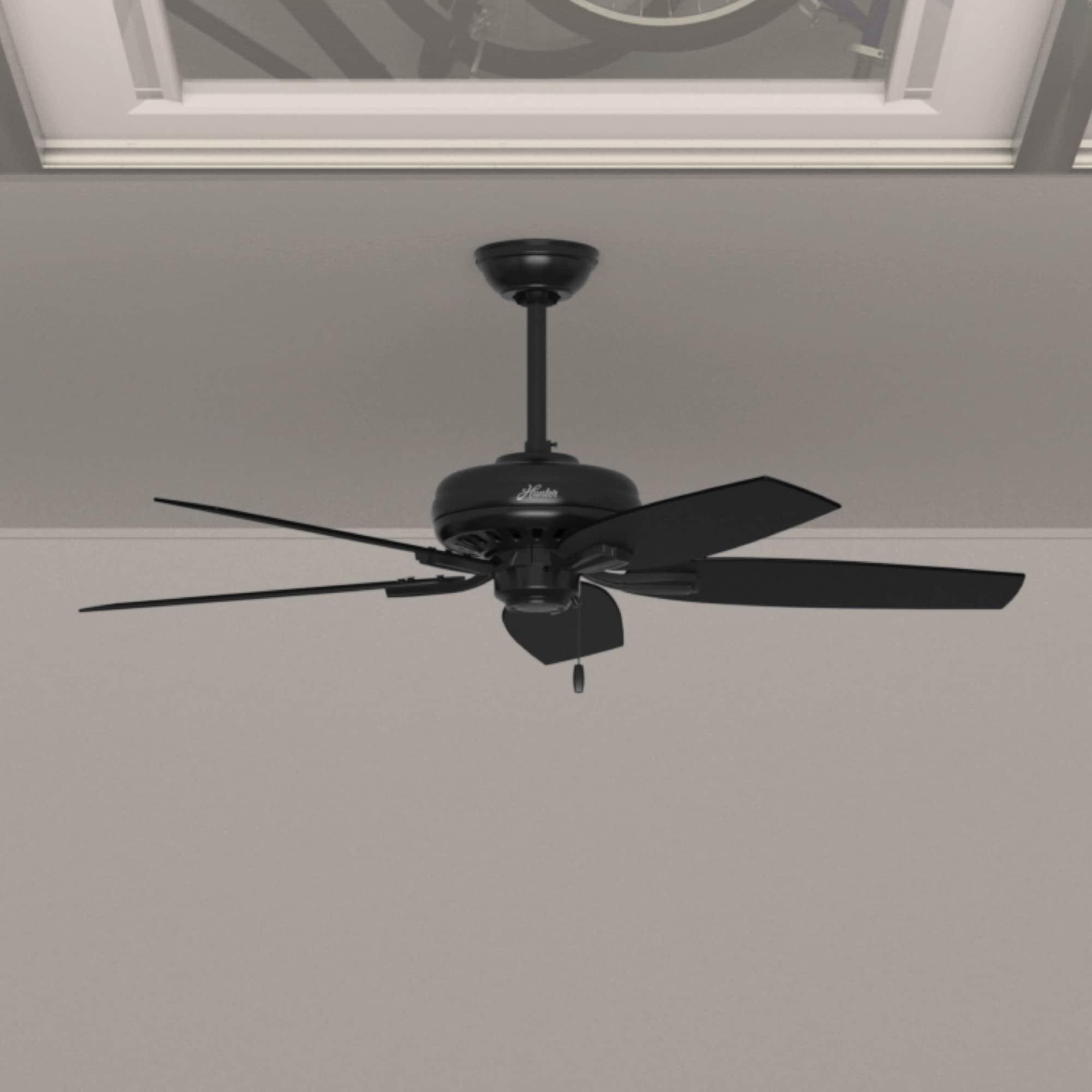 52" Newsome 5 - Blade Outdoor Standard Ceiling Fan with Pull Chain