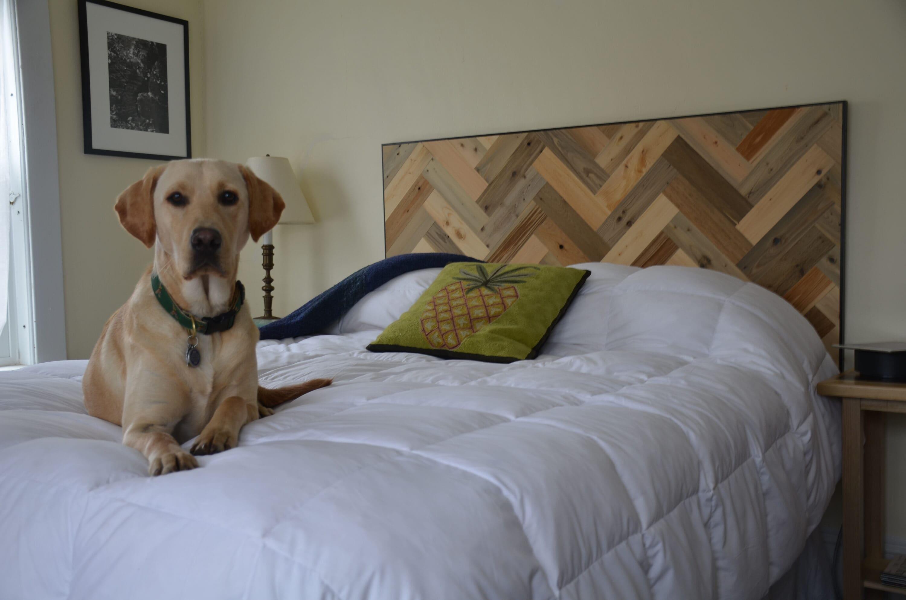Timberchic River Reclaimed Wooden Wall planks - Simple Peel & Stick Wall Covering Application for DIY Accent Wall & Home Improvement - Premium Wall Paneling - Herringbone Pattern