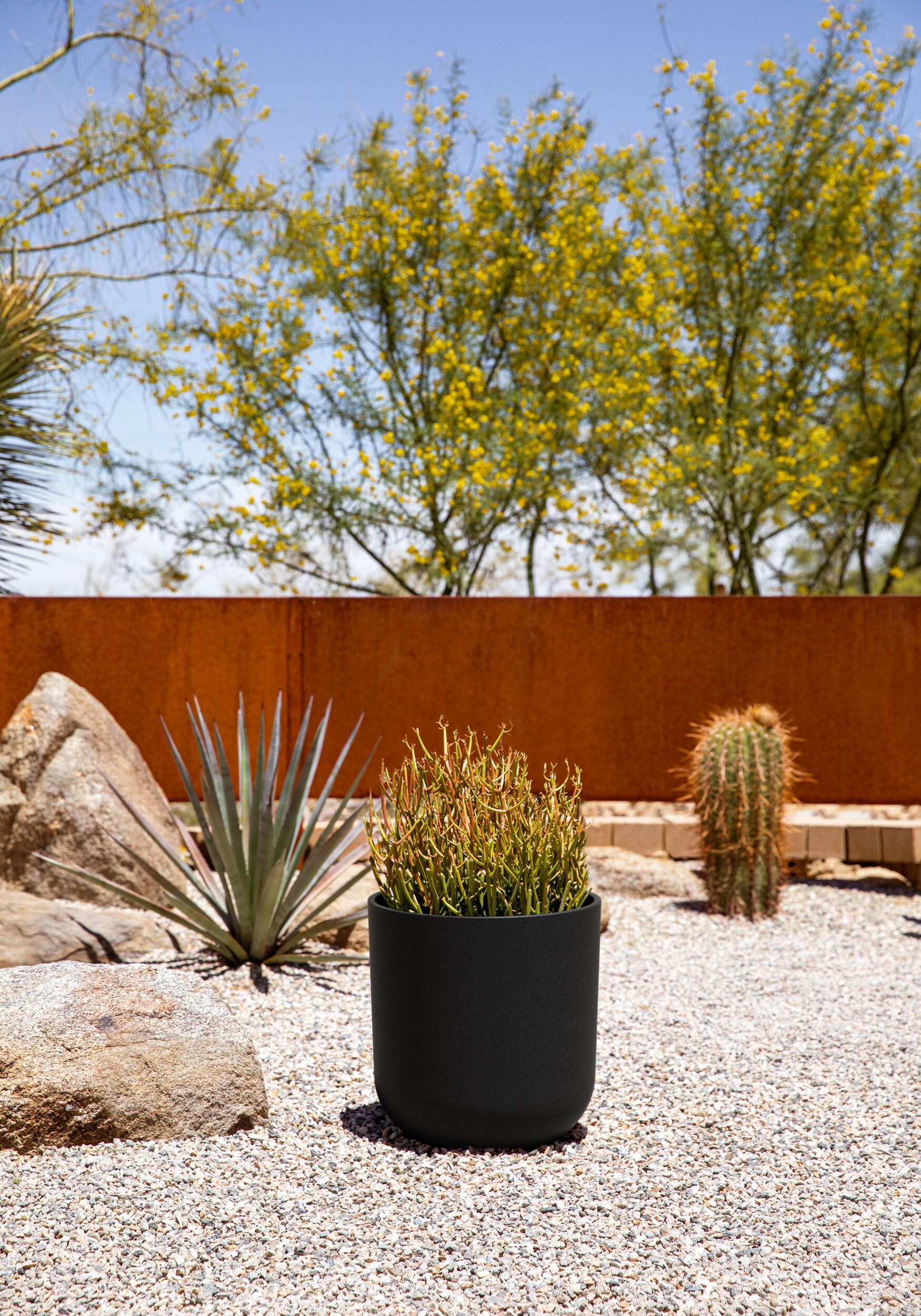 Mason Series Kona Planter