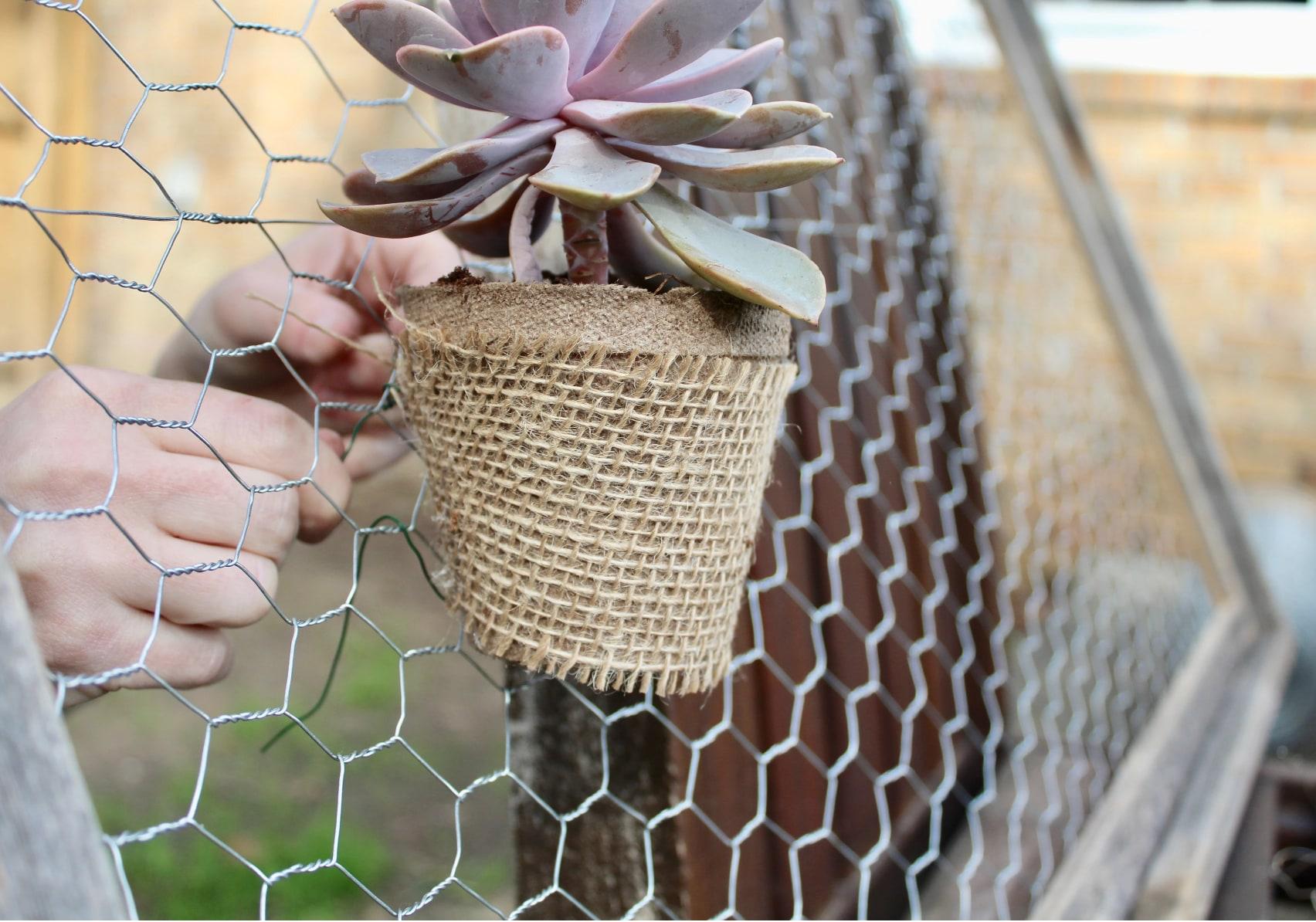 Garden Zone 50 ft. X 48 in. Galvanized Steel Poultry Netting