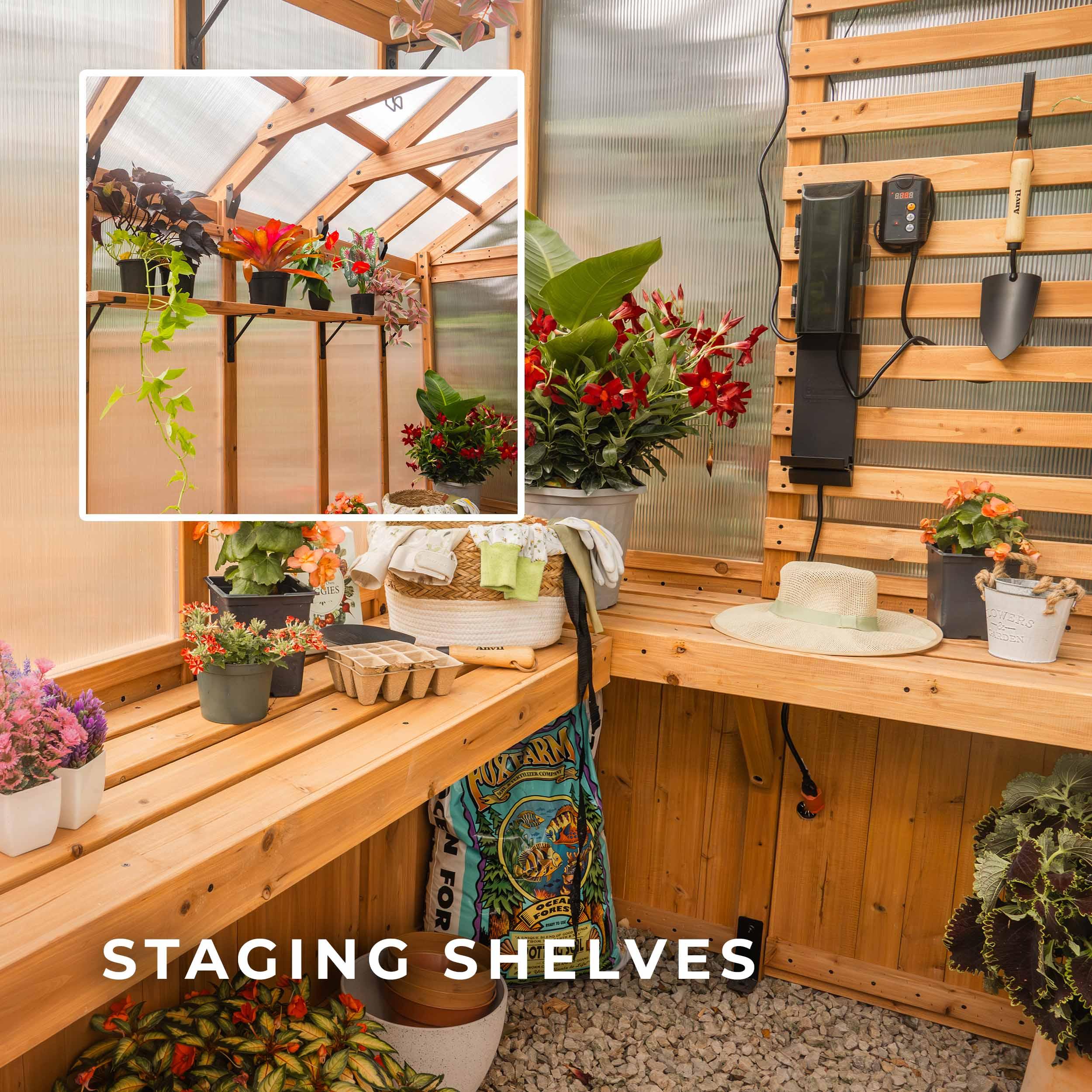 Backyard Discovery Bellerose 9' x 6' Cedar Wood and Polycarbonate Greenhouse Kit, Pergola