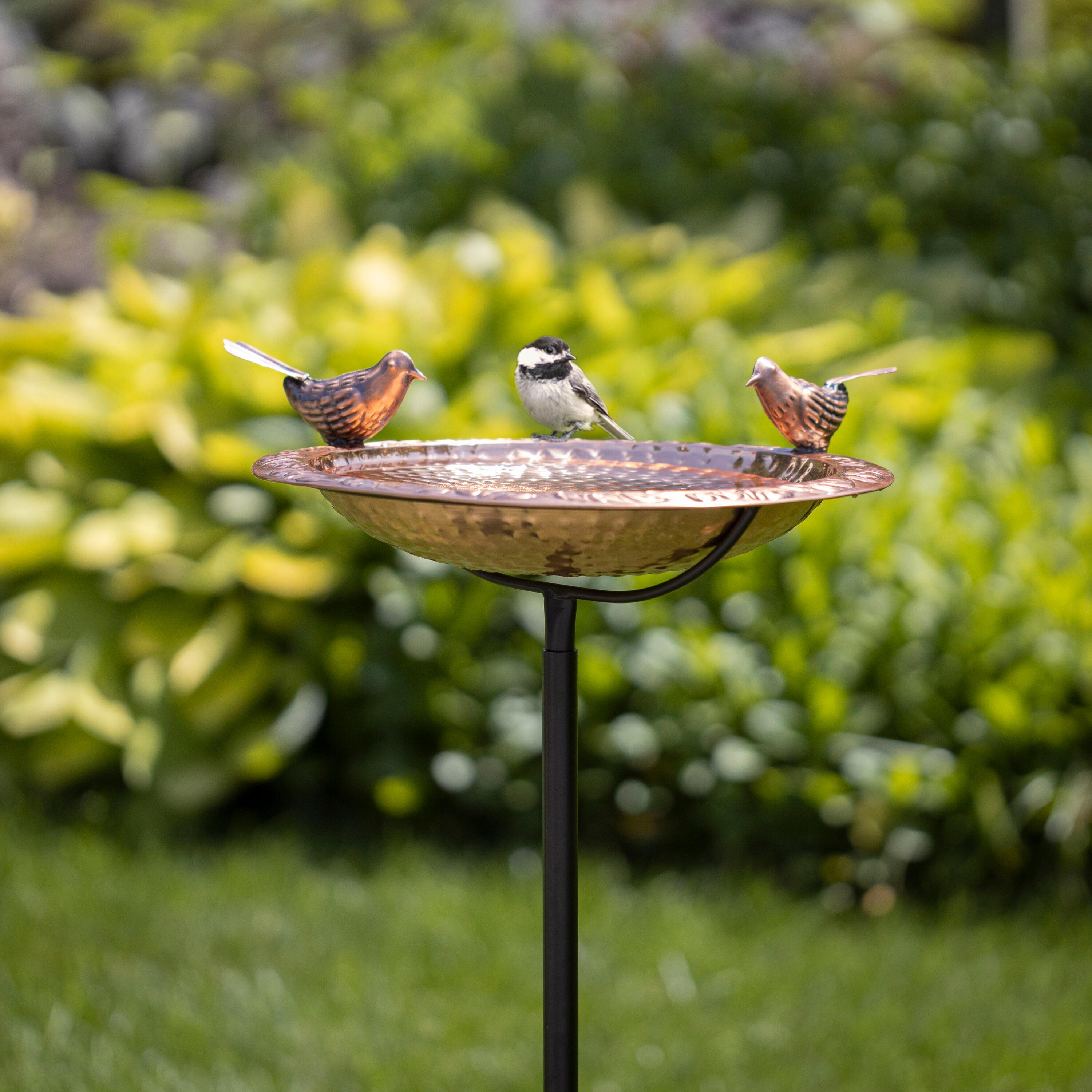 House of Hampton® Dowski Copper Single Tier Birdbath