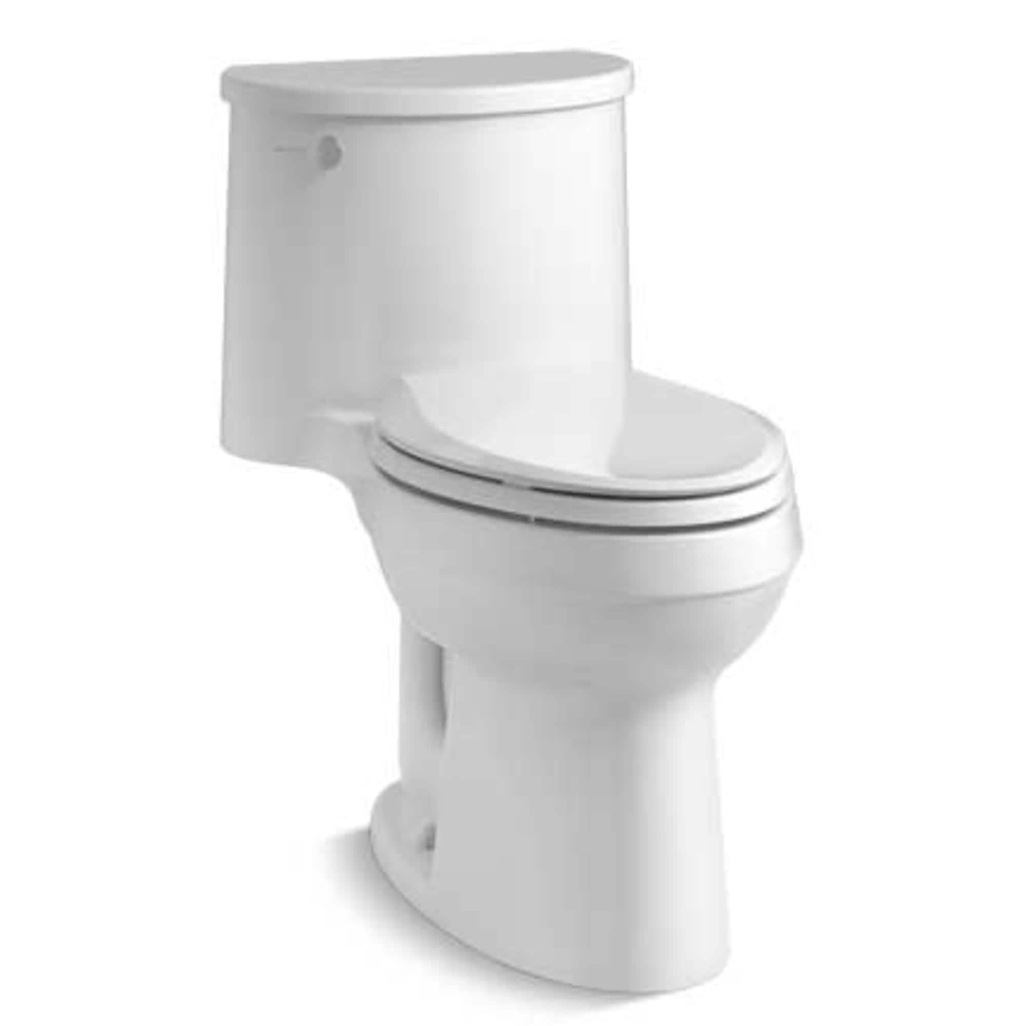 Adair 1.28 GPF Water Efficient Elongated One-Piece toilet (Seat Included)