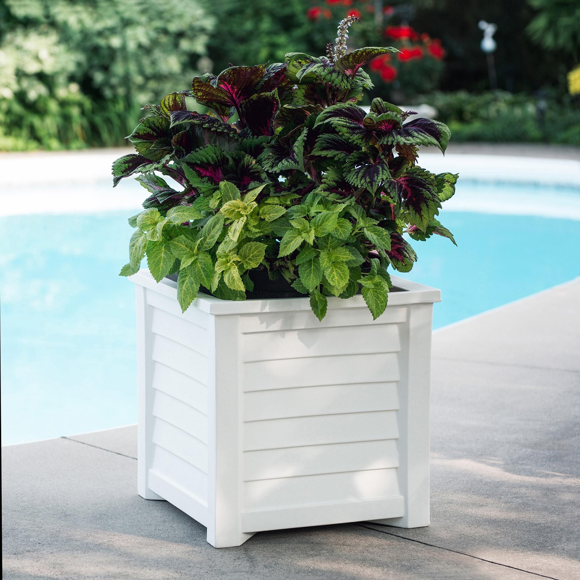Lakeland Square Resin Planter with Water Reservoir