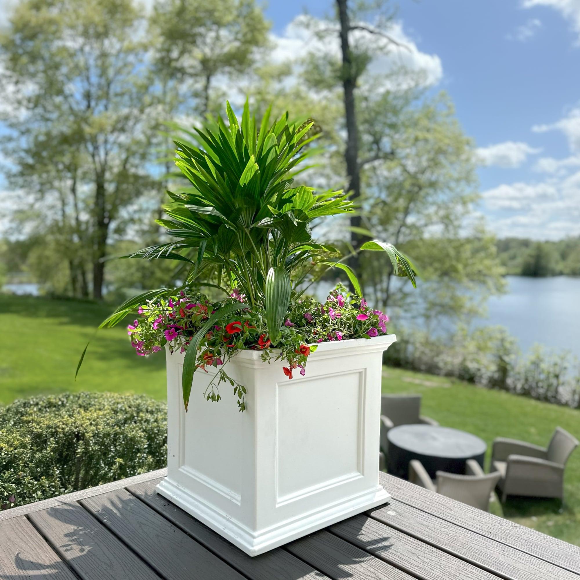 Mayne Fairfield 20" x 20" x 20" Square White Self Watering Plastic Planter