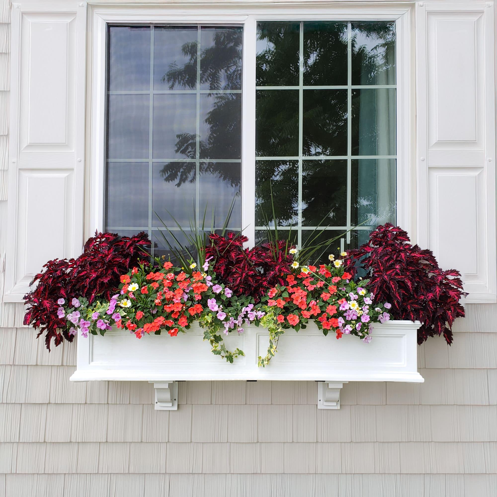 Mayne Inc. Anastasiya Resin Window Box Planter with Water Reservoir
