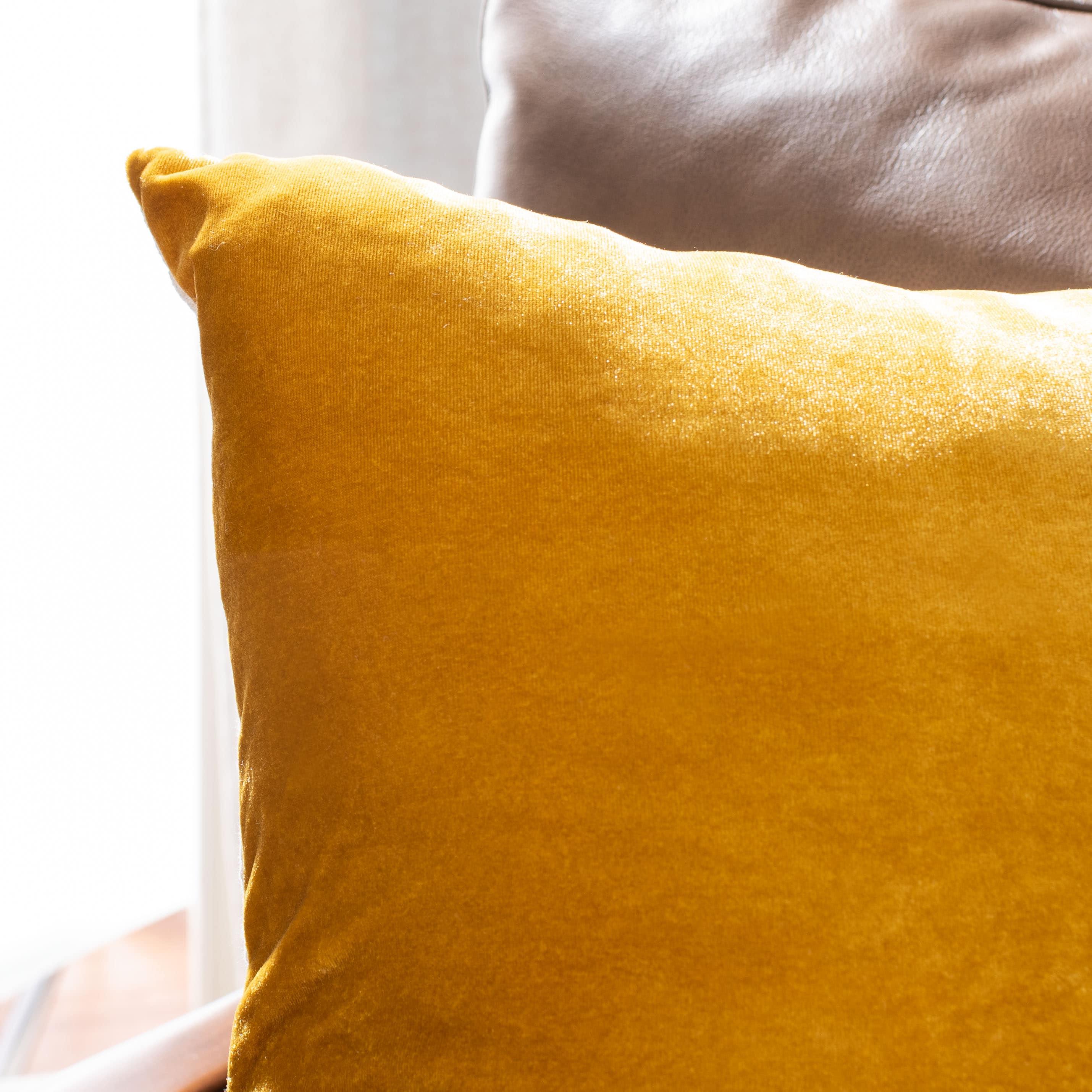 Safavieh Throw Pillow