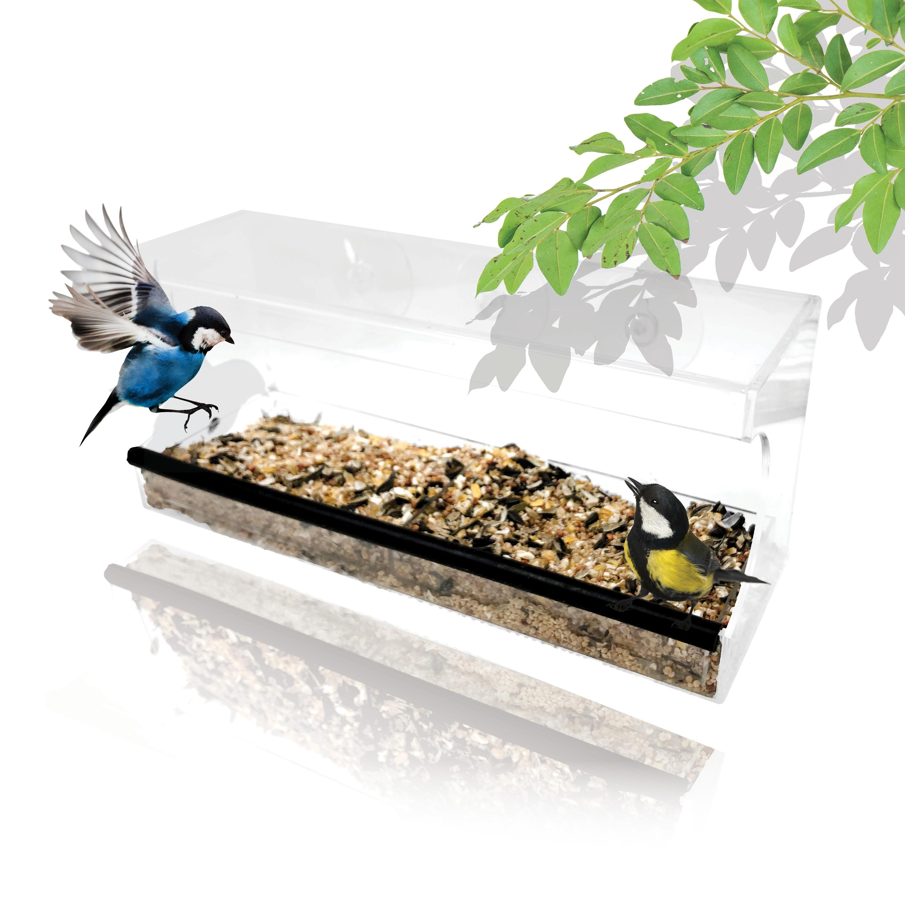 Clear Acrylic Window-Mounted Bird Feeder with Removable Seed Tray