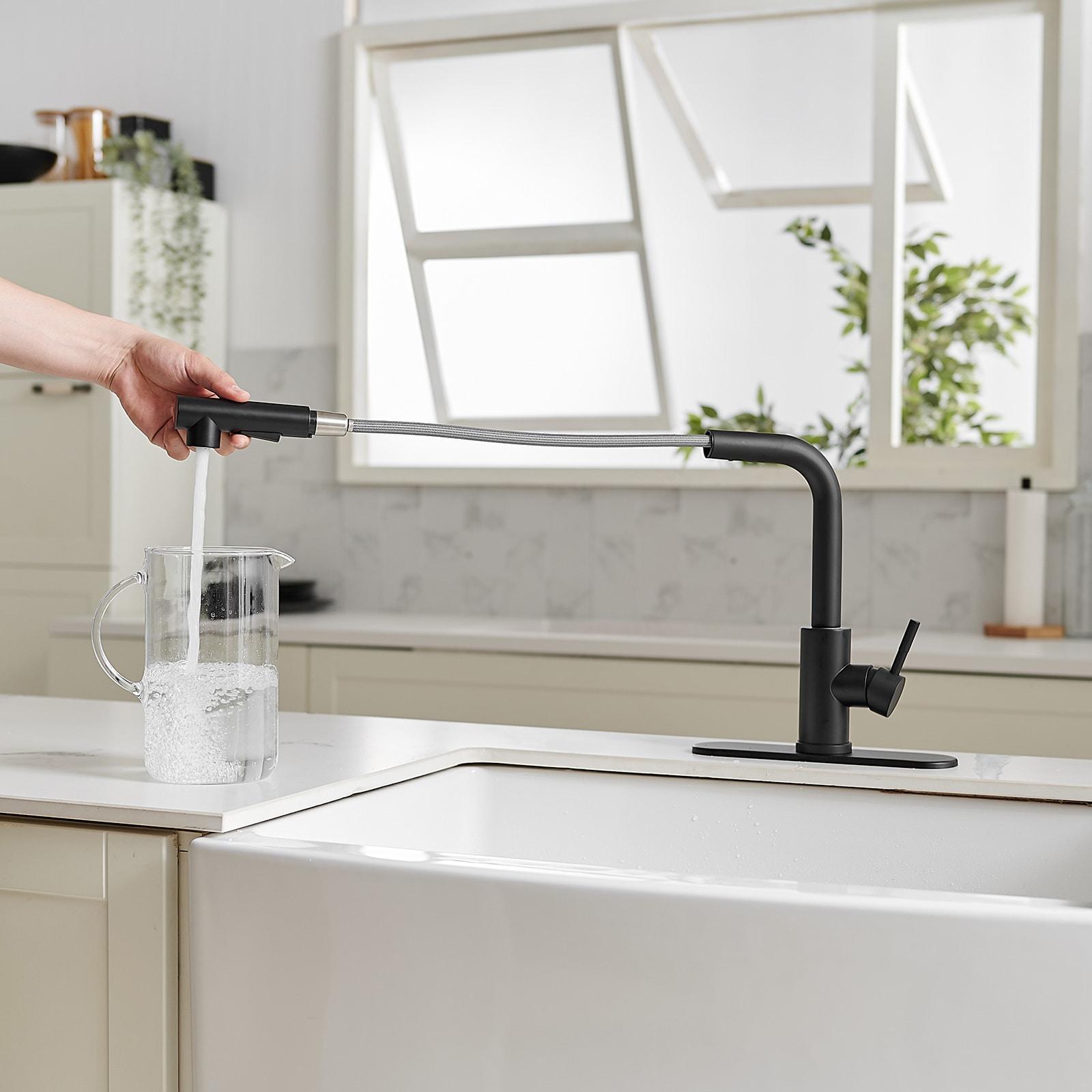 VIBRANTBATH Pull Out Kitchen Faucet