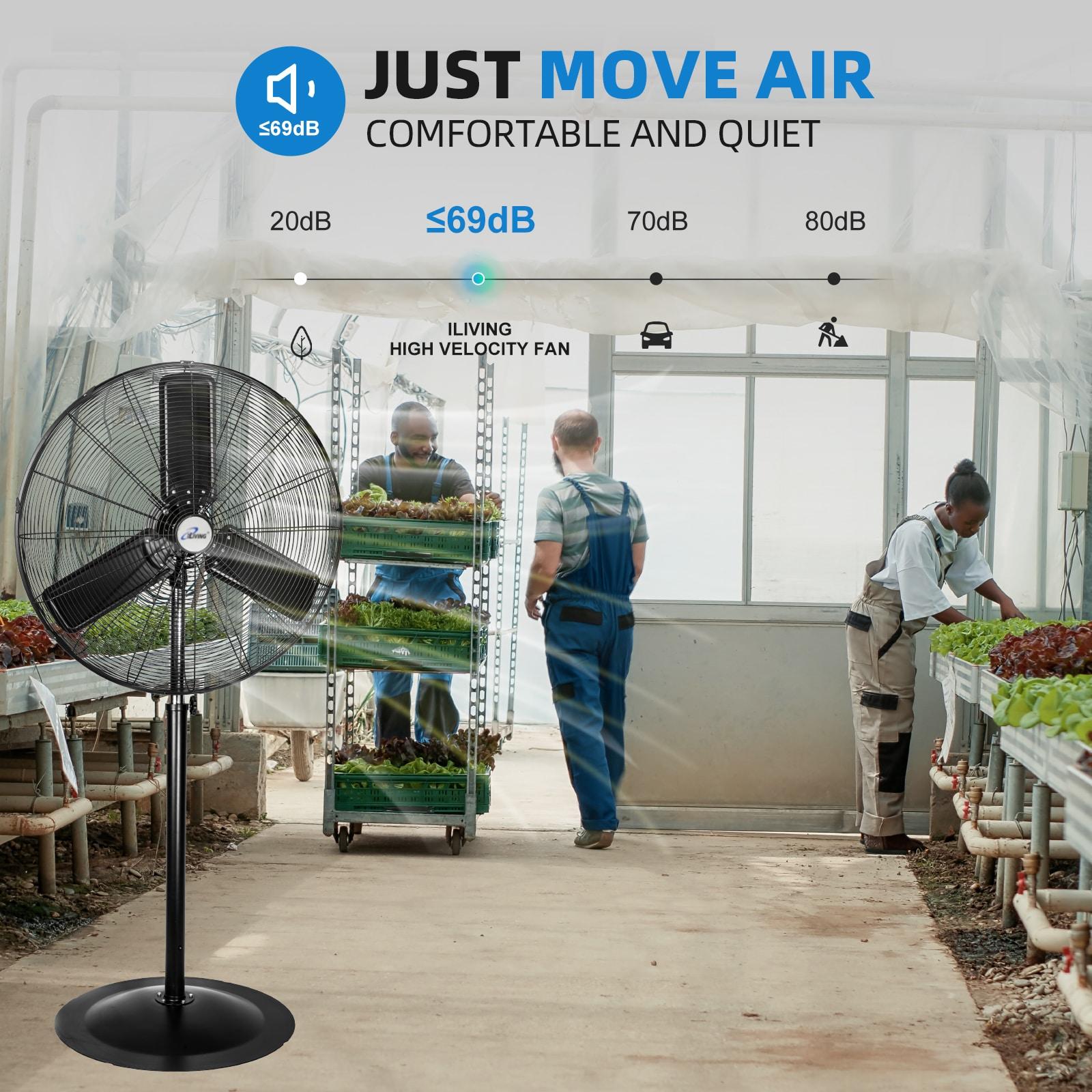 iLIVING iLIVING ILG8P31-93 30" Commercial Pedestal Oscillating Fan - Shop, Garage, Warehouse - 120V, 1.8A , 8400 CFM