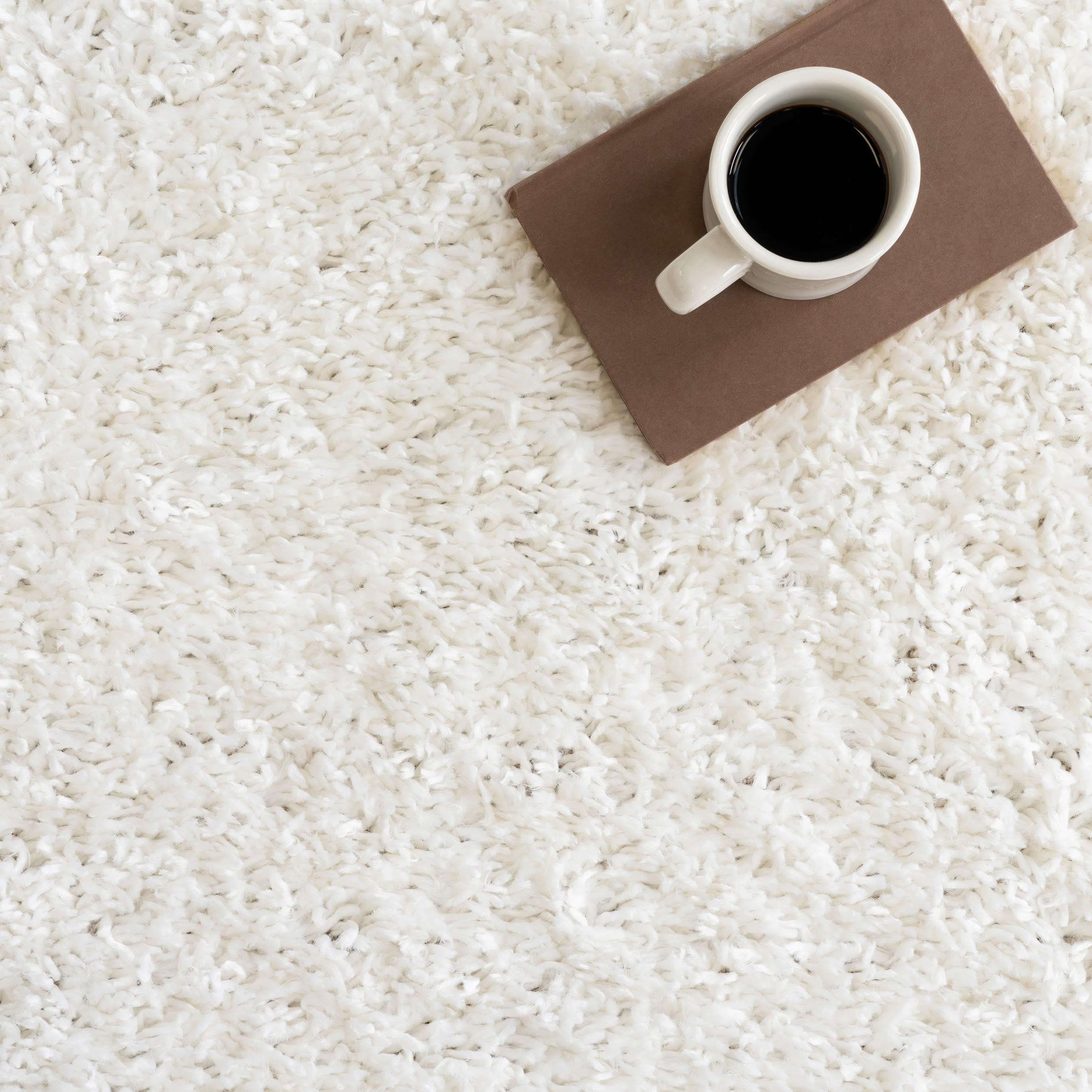 Nuloom Kara Solid 4x6 Shag Indoor Area Rug for Living Room Bedroom Dining Room Nursery, Ivory