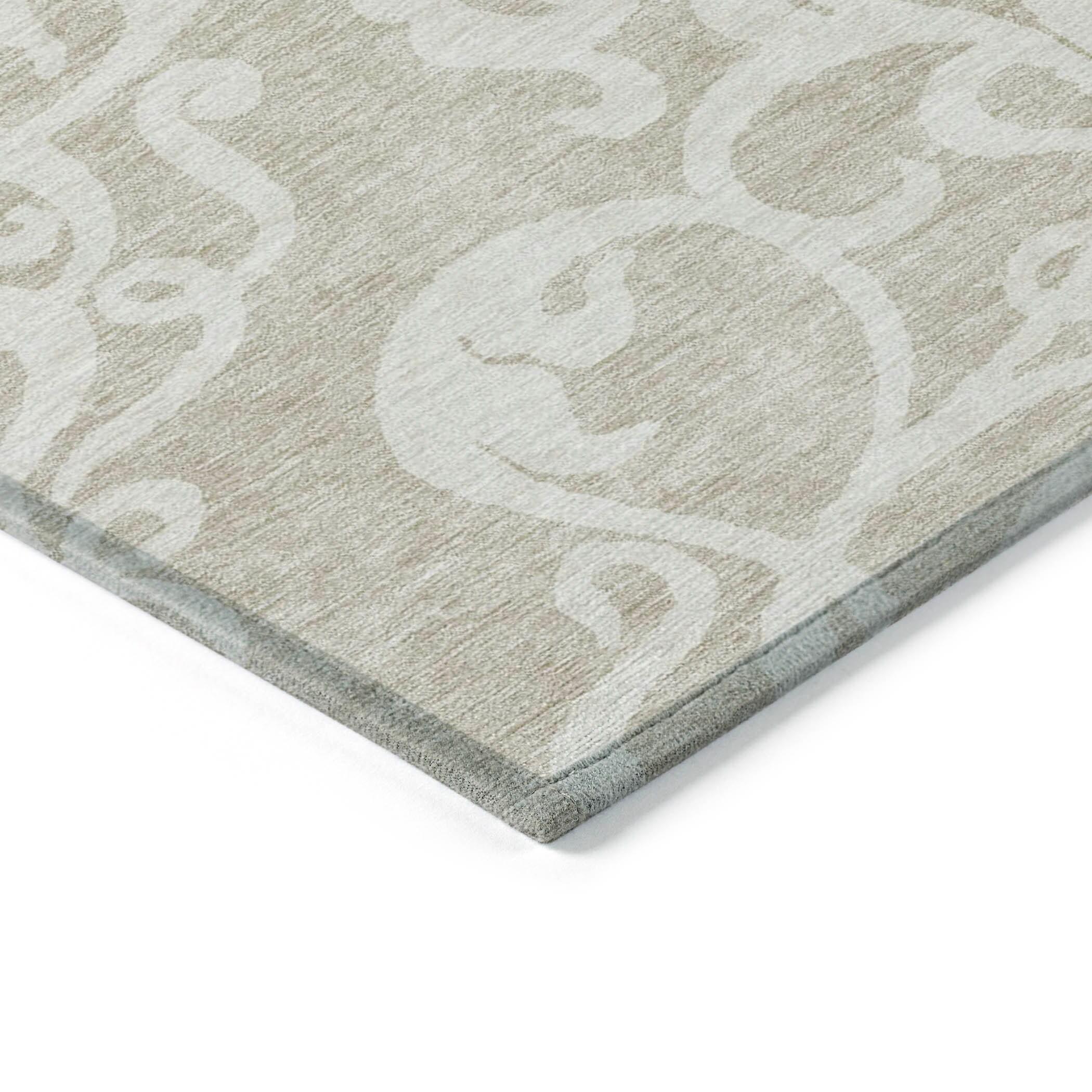 Chayden Washable Damask Indoor / Outdoor Rug