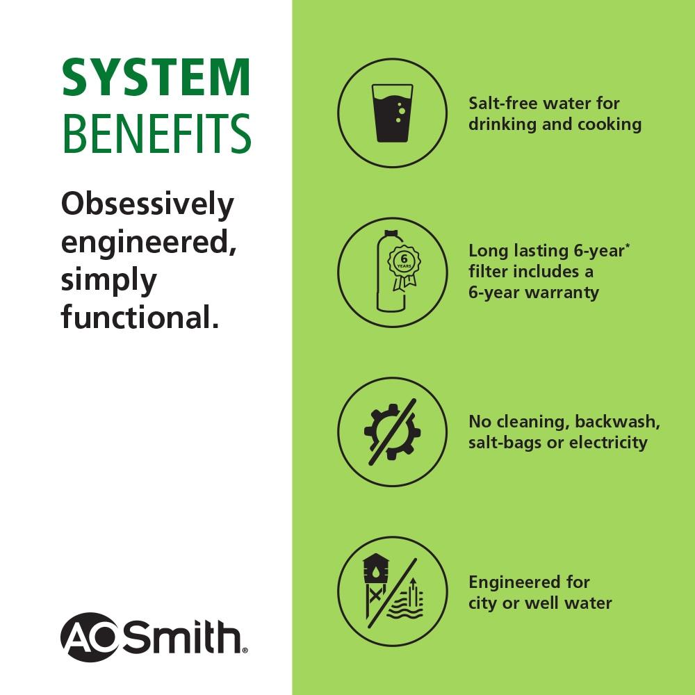 A. O. Smith Whole House Water Descaler