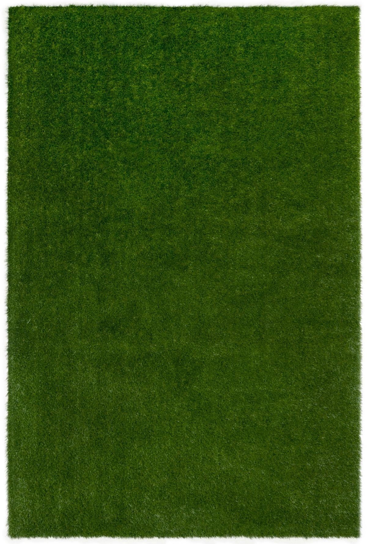 Joy Carpets Greenspace Indoor/Outdoor Area Rug