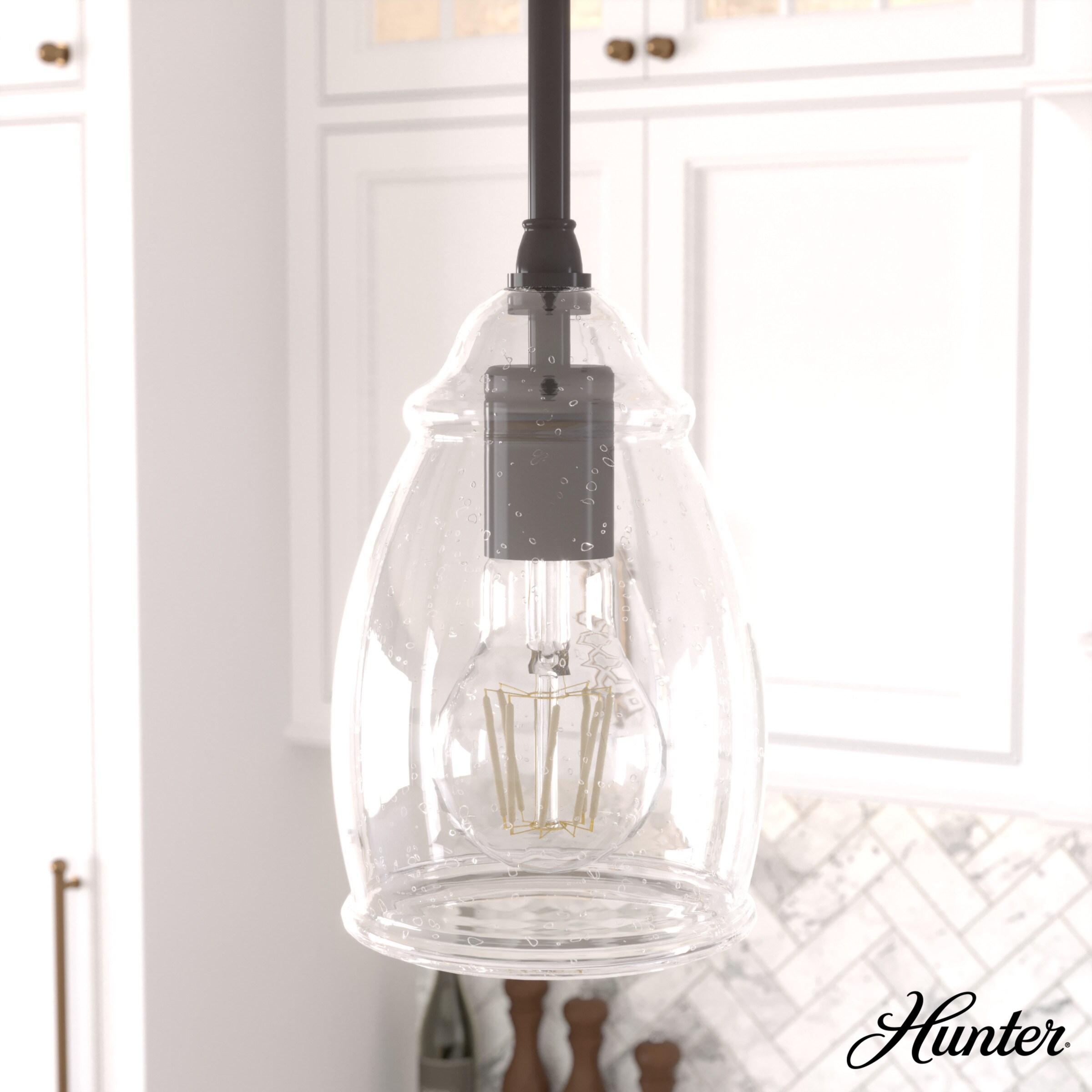 Hunter Fan Dunshire 1 Light Noble Bronze Pendant with Glass