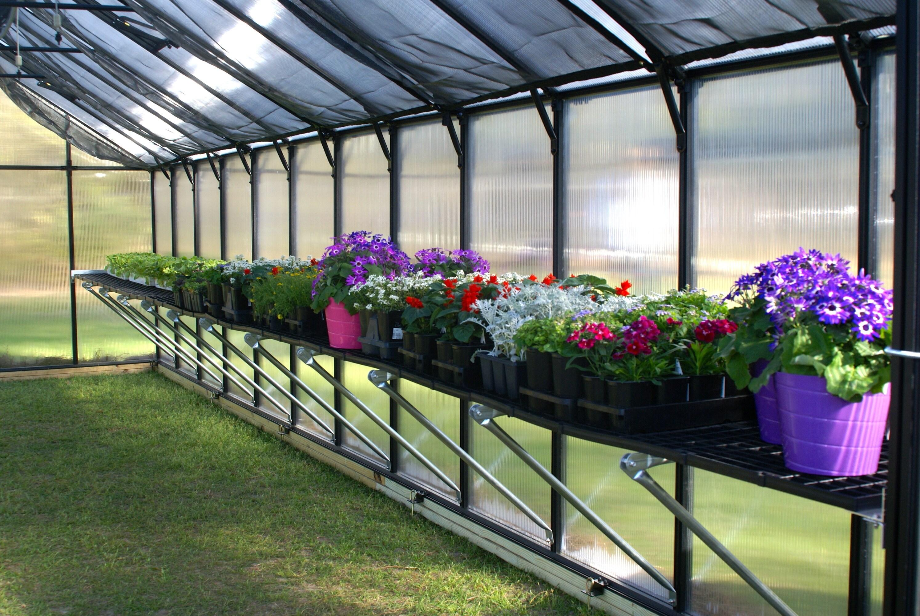 Riverstone Industries Greenhouse Work Bench System Shelving