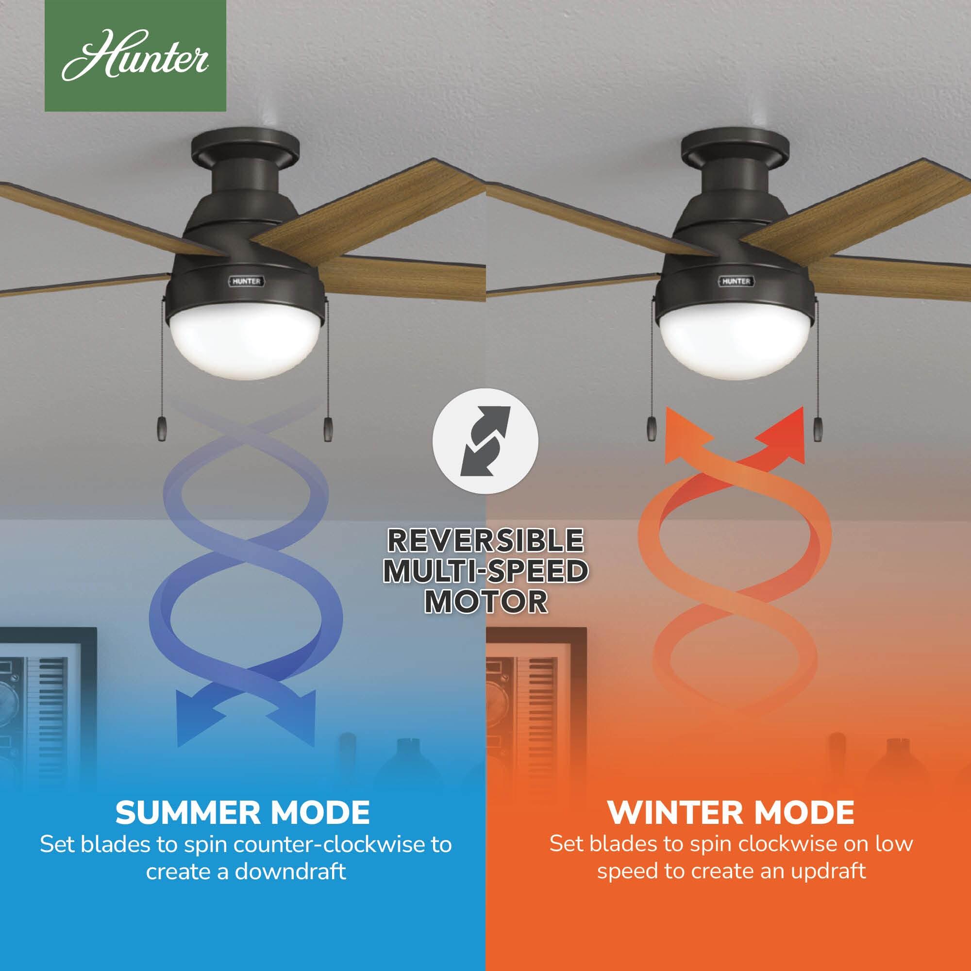 46" Anslee 5 - Blade LED Flush Mount Ceiling Fan with Pull Chain and Light Kit Included
