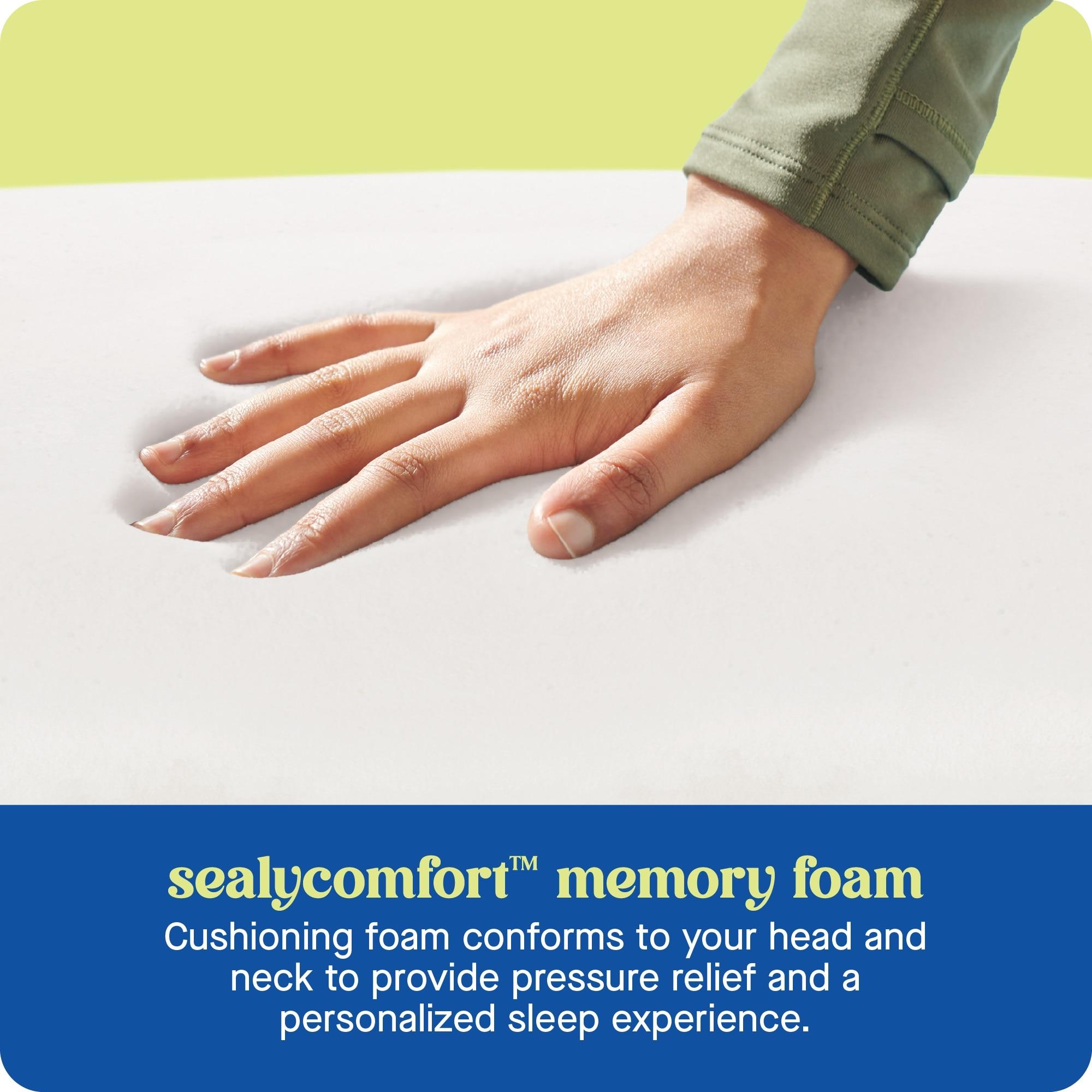 Sealy Dreamlife Contour Memory Foam Medium Pillow, Standard