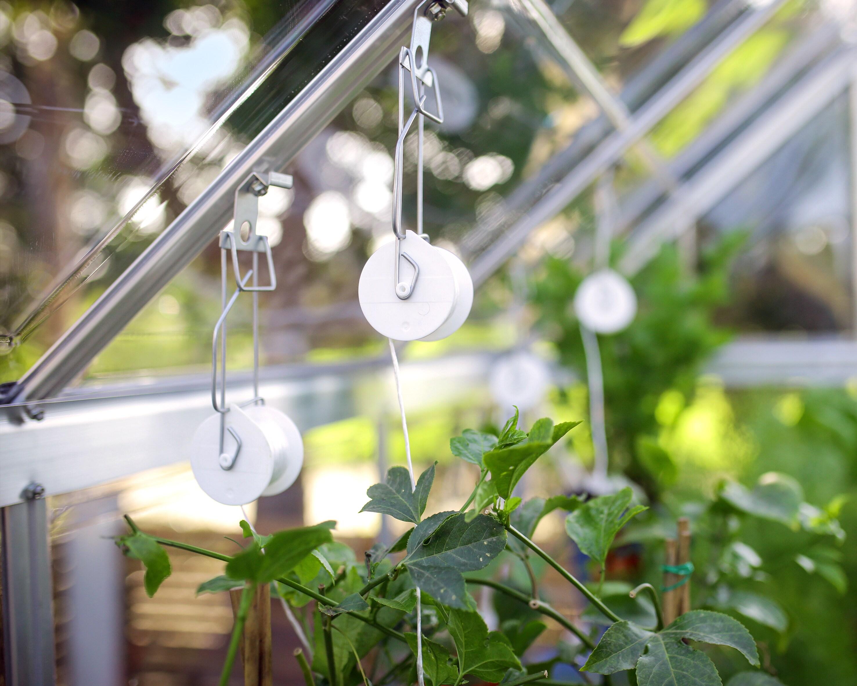 Canopia Palram - Canopia Greenhouse Trellising Kit