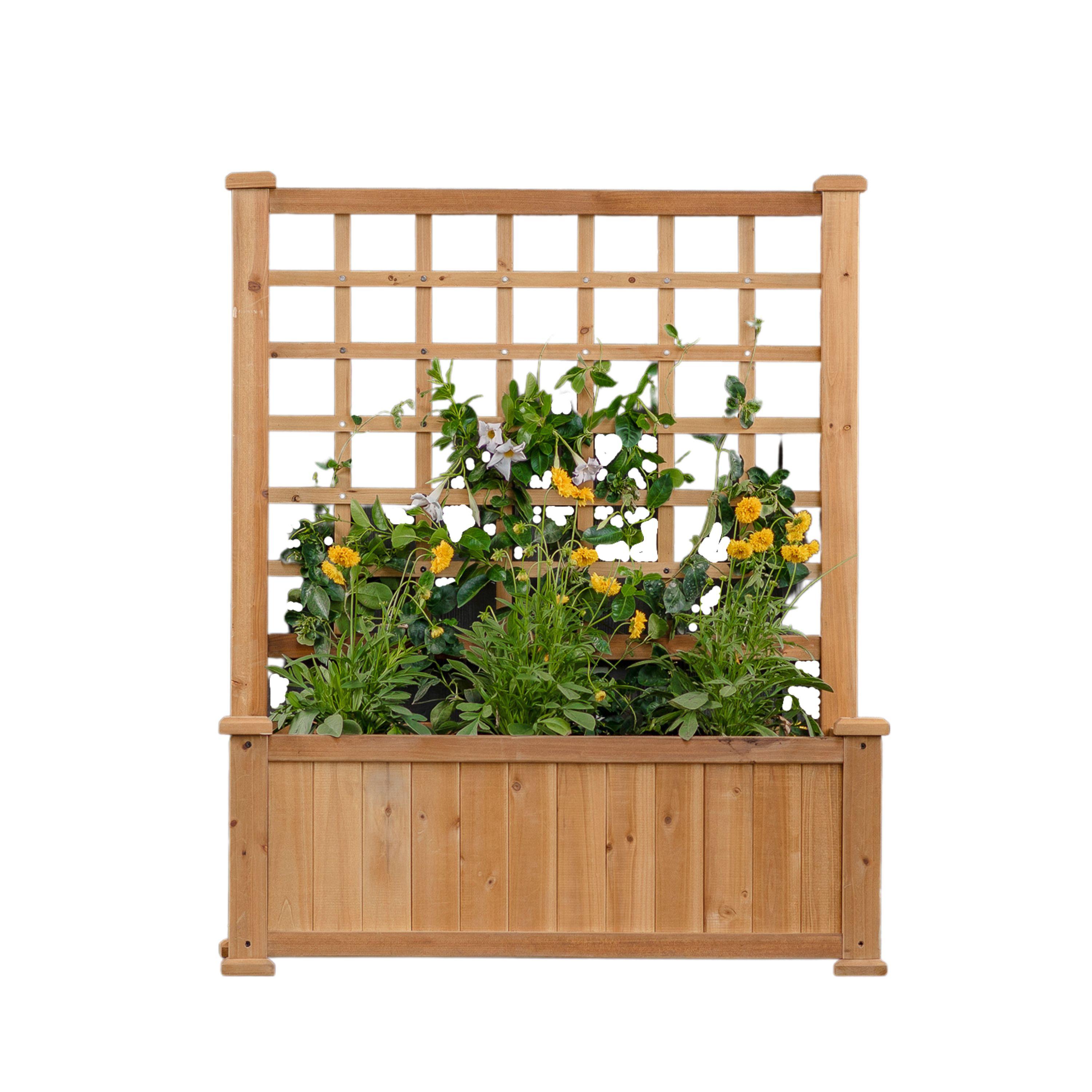 Rosewood 46.75'' H x 38.13'' Wood Planter with Trellis