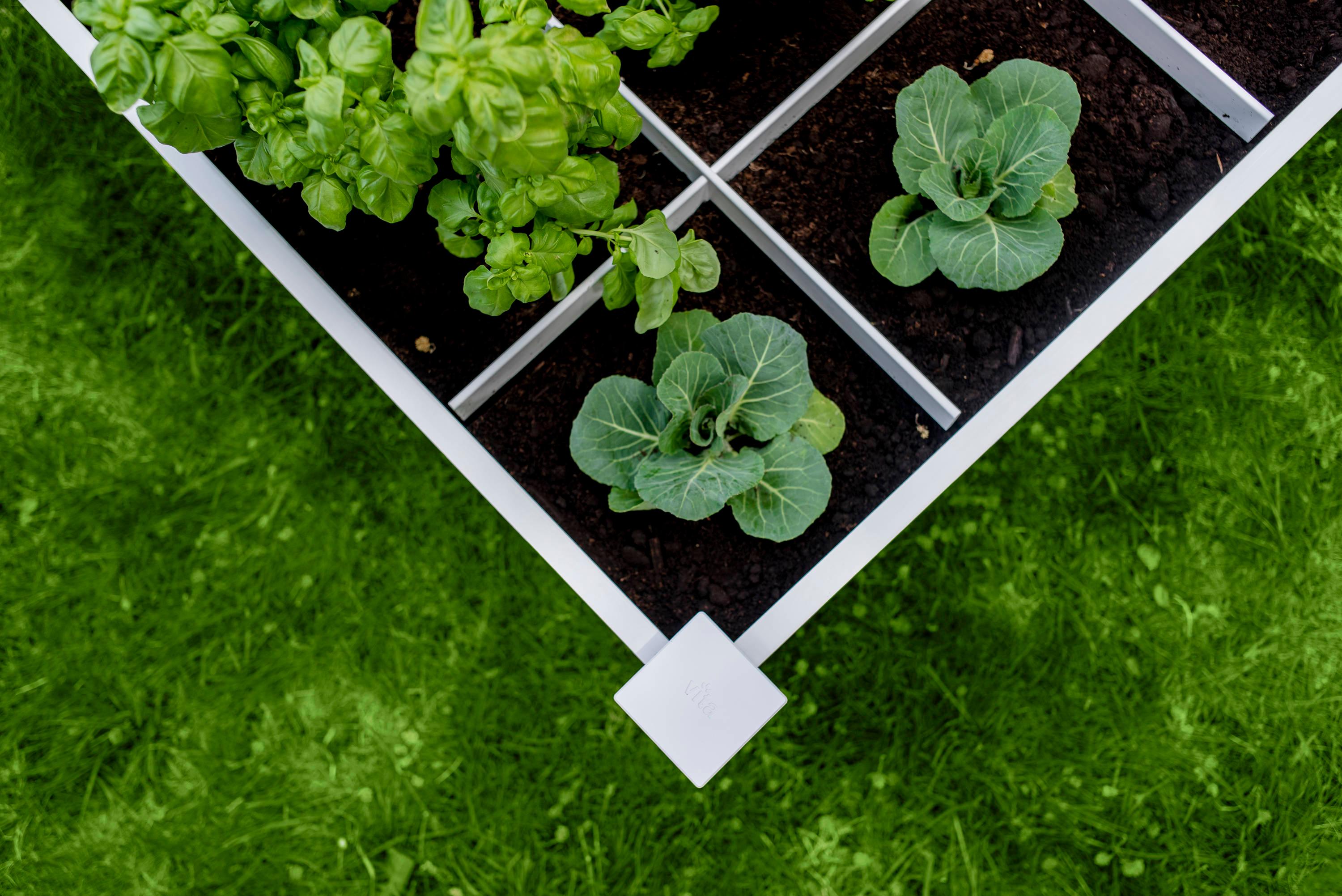 Classic White Vinyl 48" x 48" Raised Garden Bed with Grid