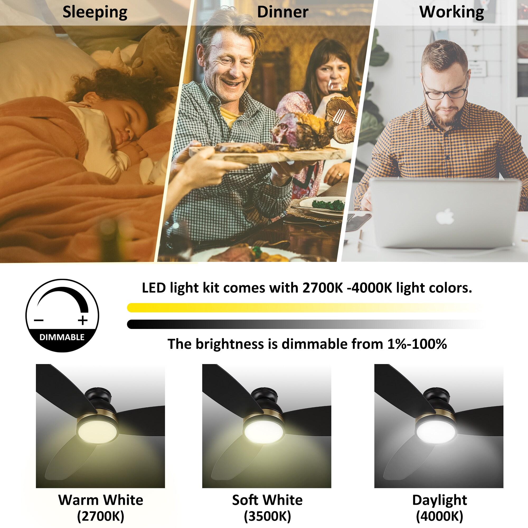 CARRO Smart Flush Mount Ceiling Fan with Light, Remote Control, DC Motor