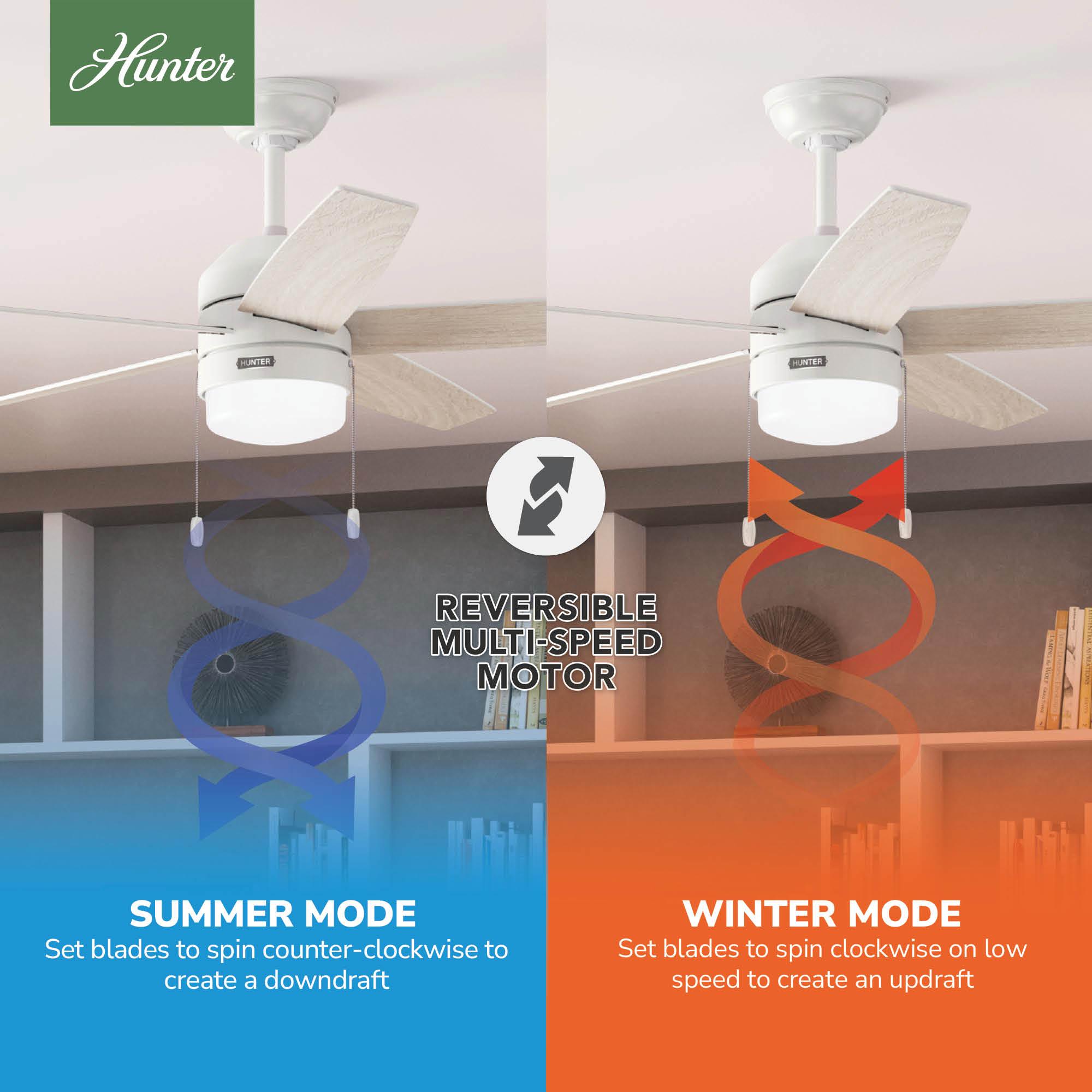 Bardot 52" 5 - Blade Ceiling Fan With Lights and Pull Chains
