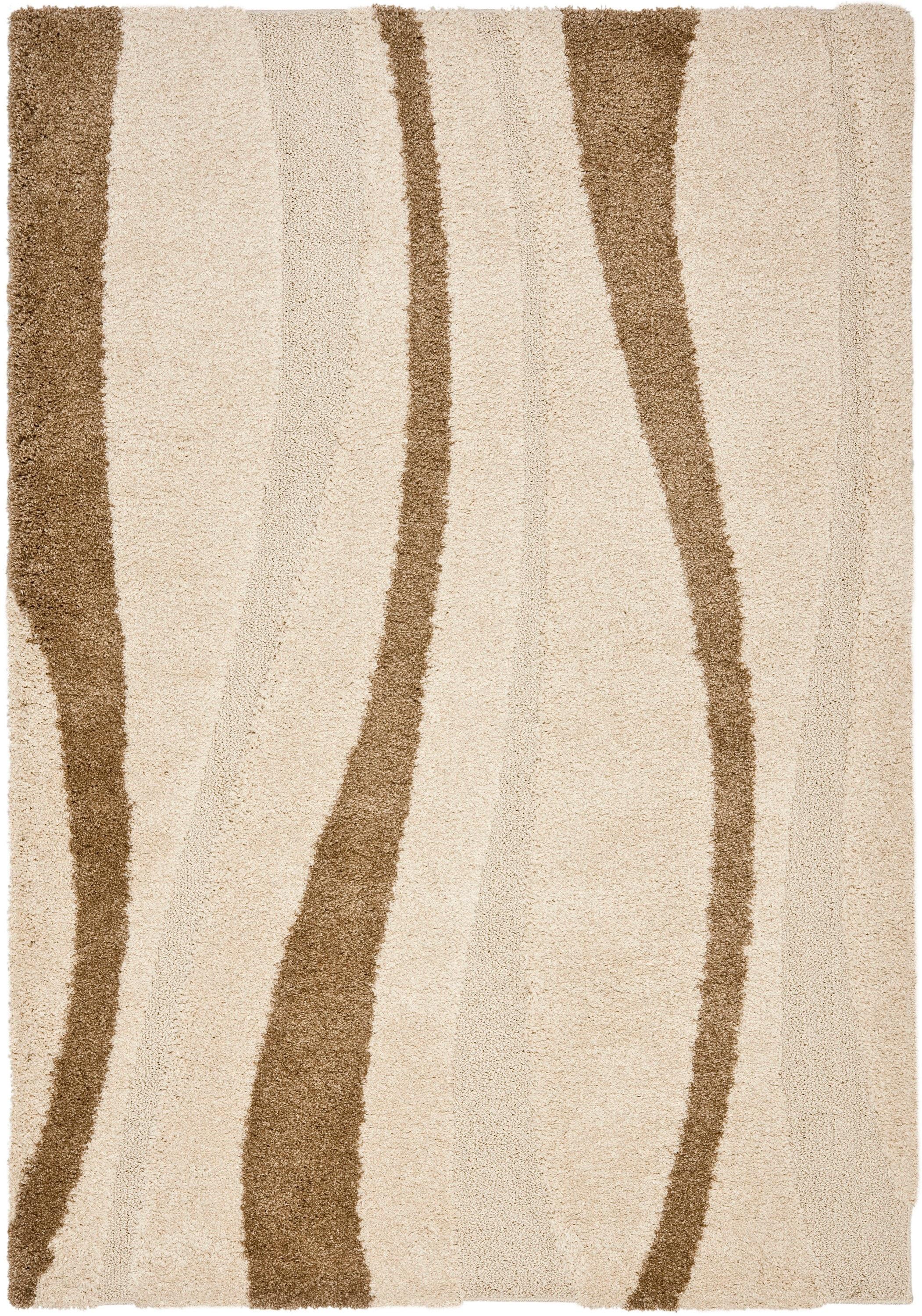 Florida Shag SG451 Power Loomed Indoor Area Rug - Cream/Dark Brown - 8'x10' - Safavieh.