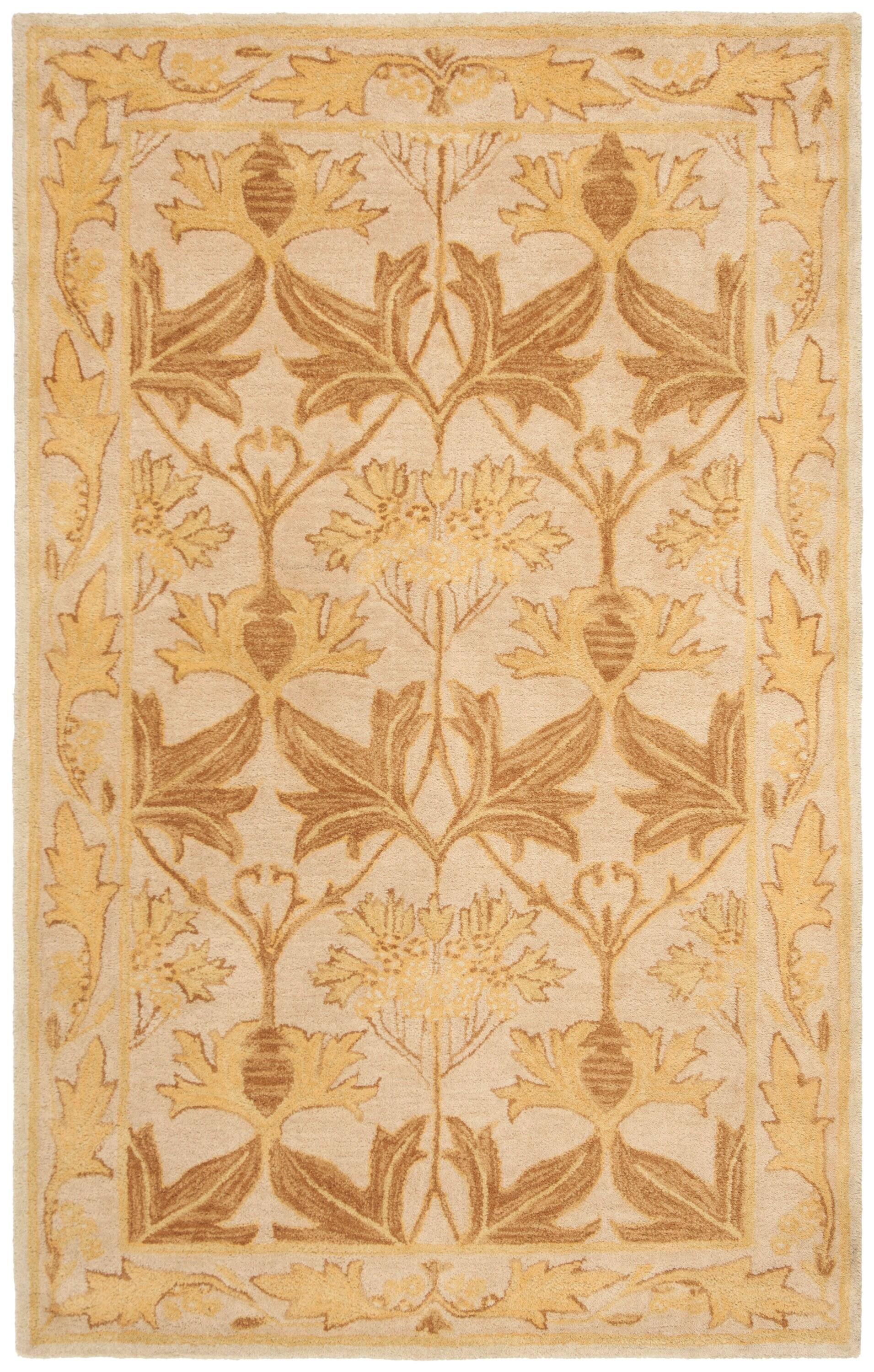 Anatolia AN541 Hand Tufted Indoor Area Rug - Beige/Gold - 6'x9' - Safavieh