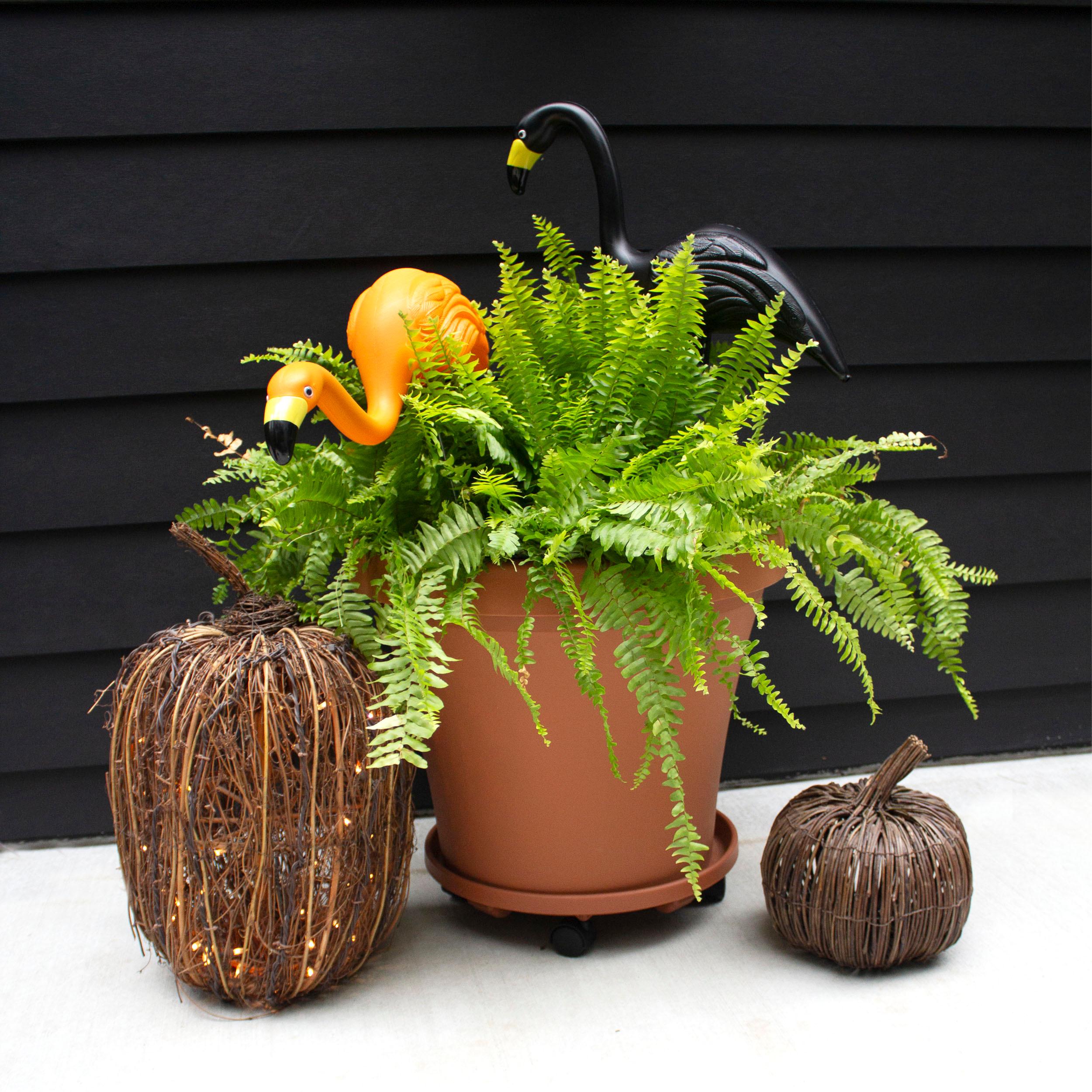 Bloem Spooky Indoor/Outdoor Black and Orange Halloween Flamingo Yard Decorations with Metal Stakes