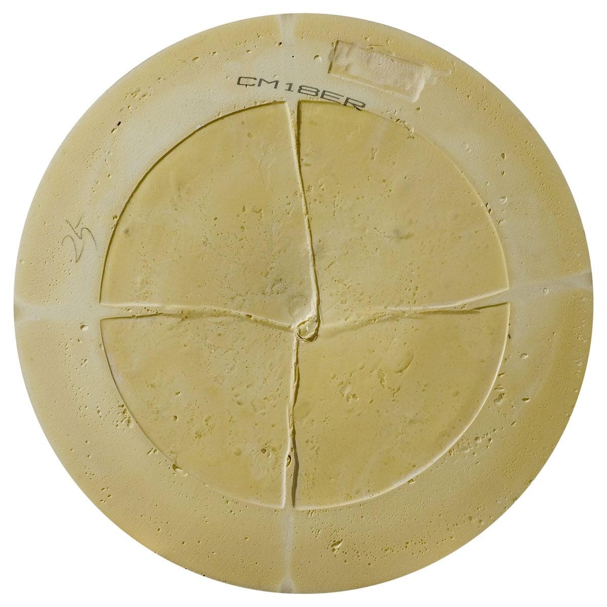 Ekena Millwork Edinburgh 18'' H x 18'' W D Urethane Ceiling Medallion