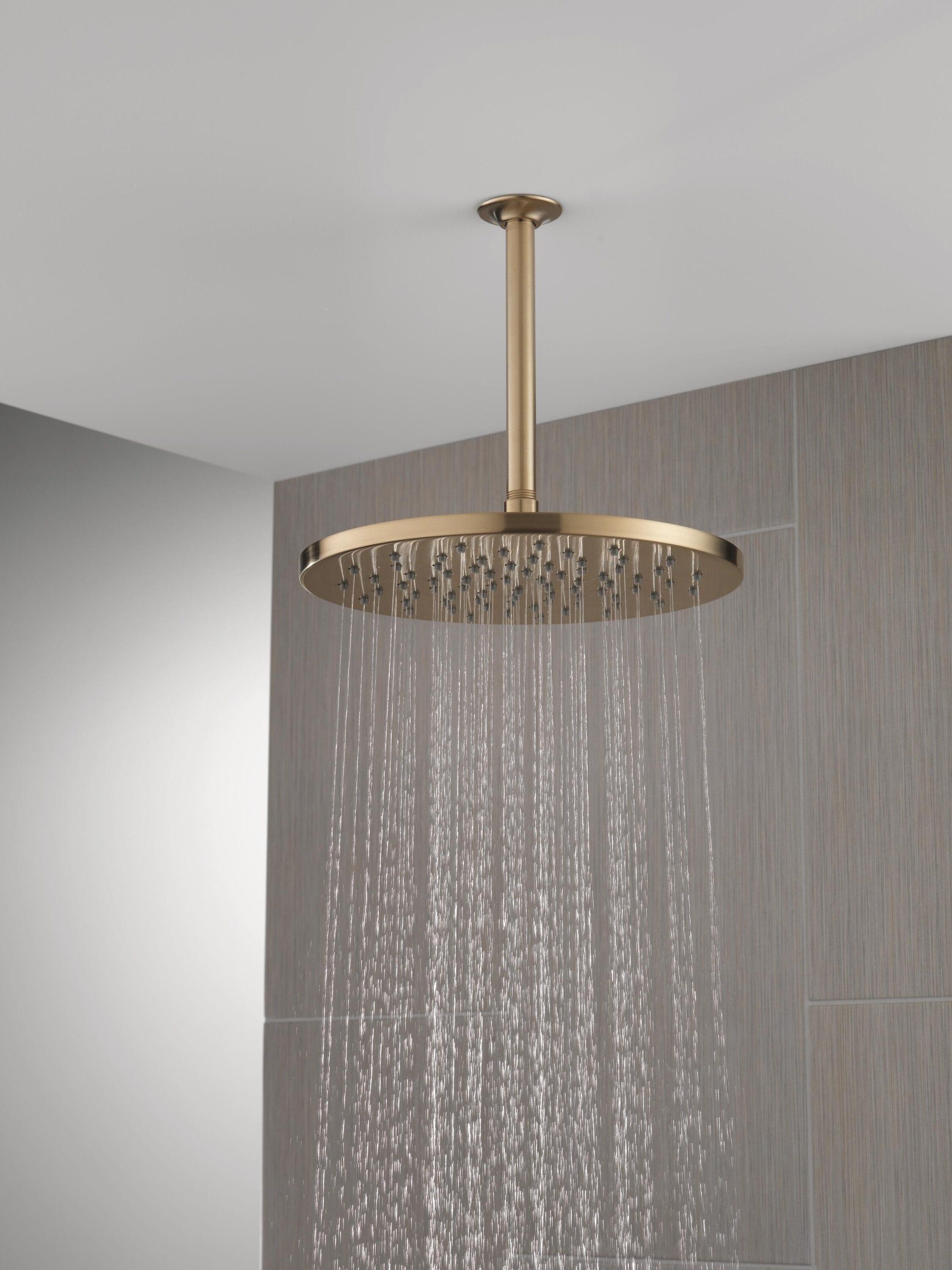 Shower Arm and Flange Ceiling