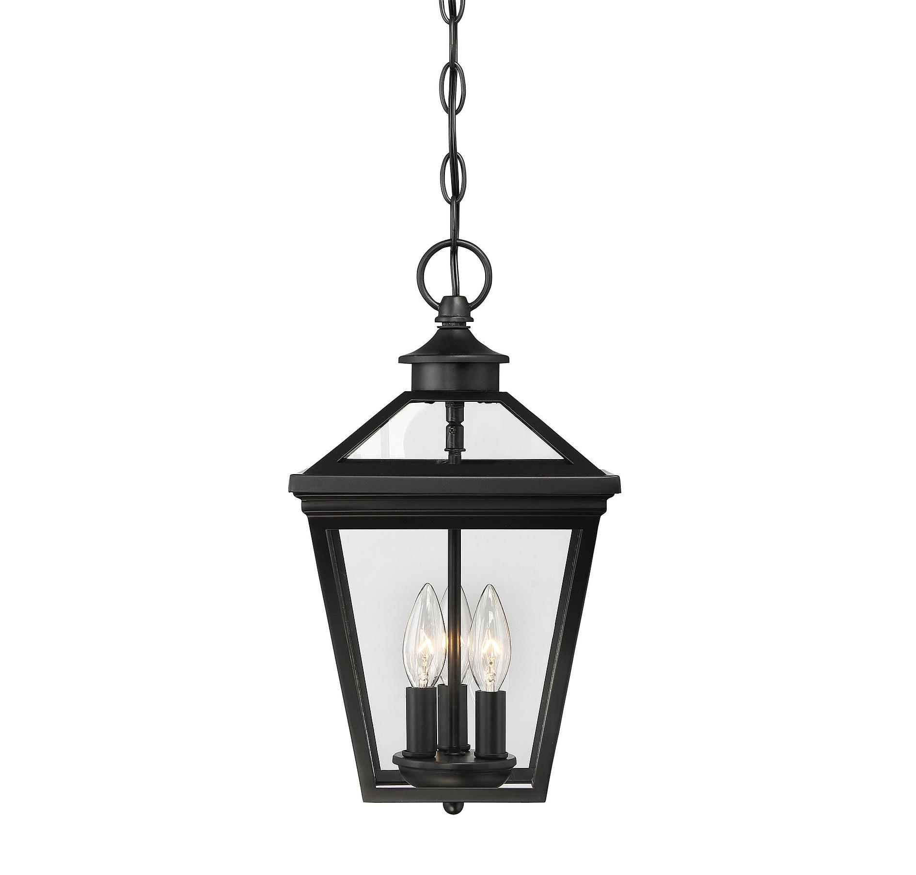 Ellijay Black and Clear Glass 3-Light Outdoor Hanging Lantern