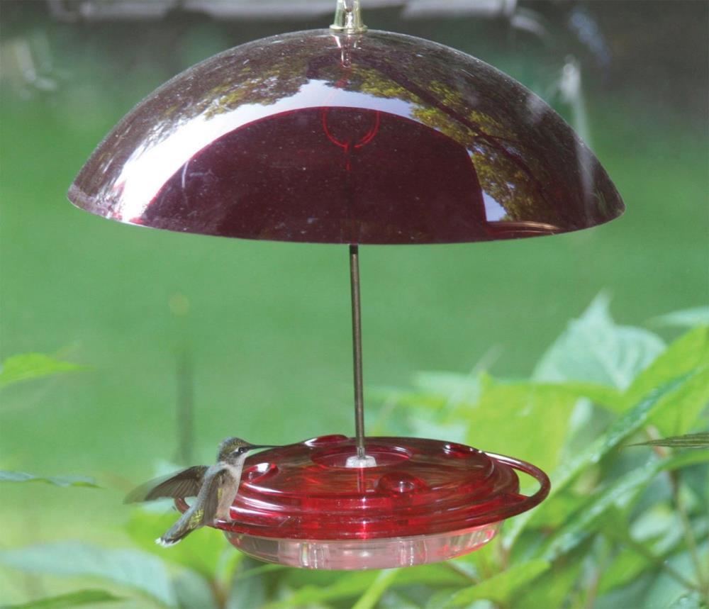 Birds Choice Birds Choice 10" Color Pop Collection Protective Dome Cover for Hanging Bird Feeders