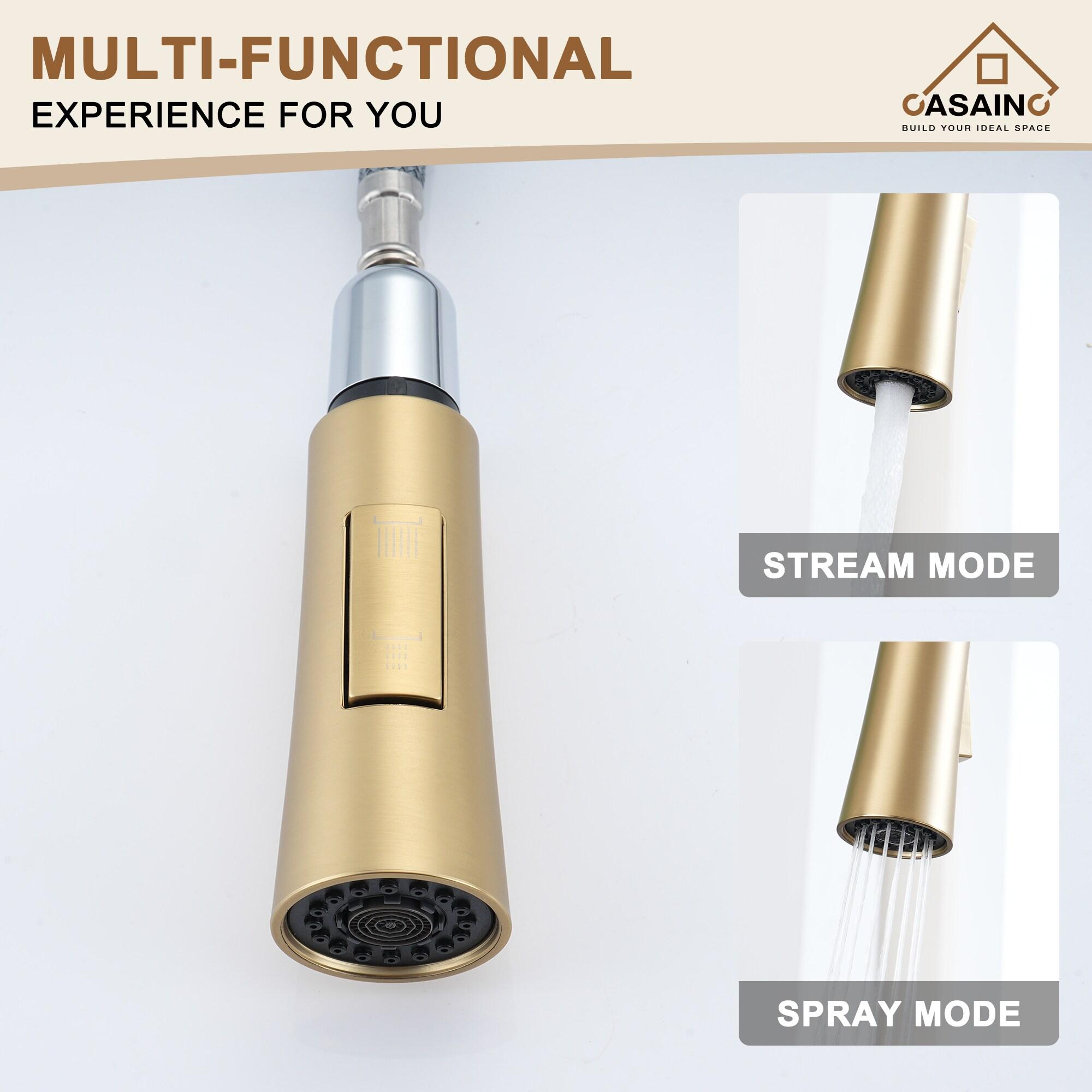 CASAINC 1.8 GPM Single-Handle Pull-Down Kitchen Faucet Single Hole Faucet