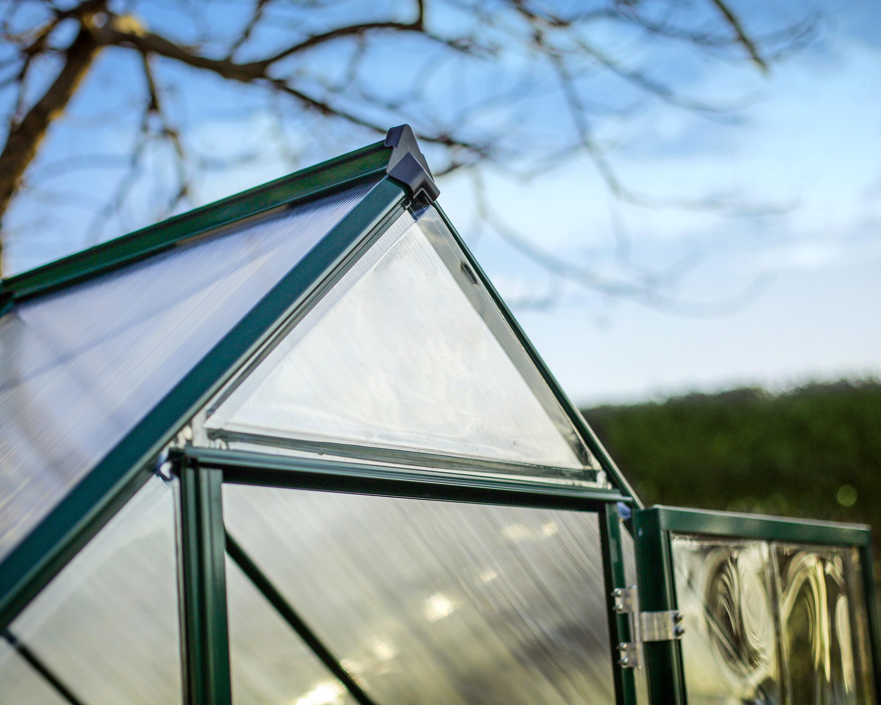 Canopia Palram - Canopia Hybrid Polycarbonate Hobby Greenhouse