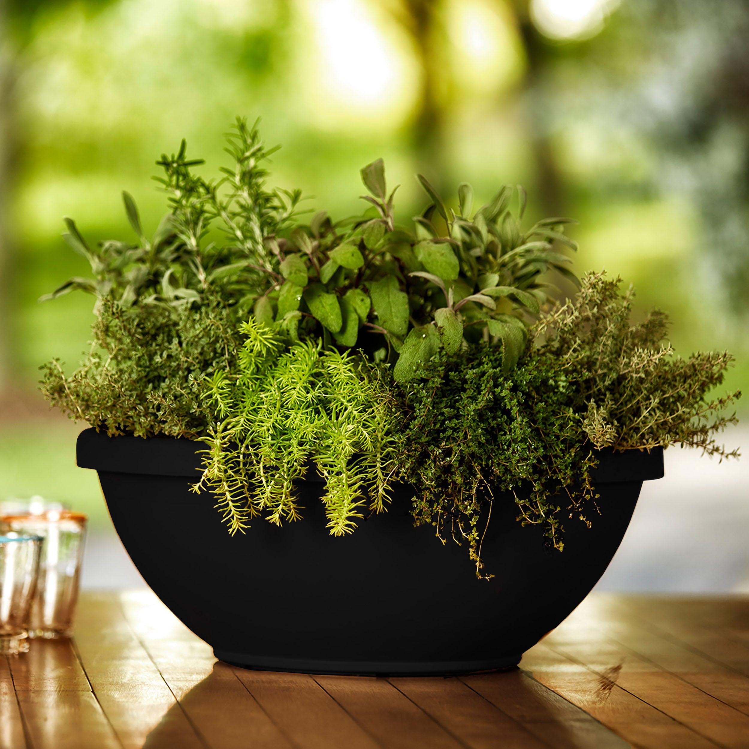 Bloem 14-in Terra Round Resin Planter Bowl - Black