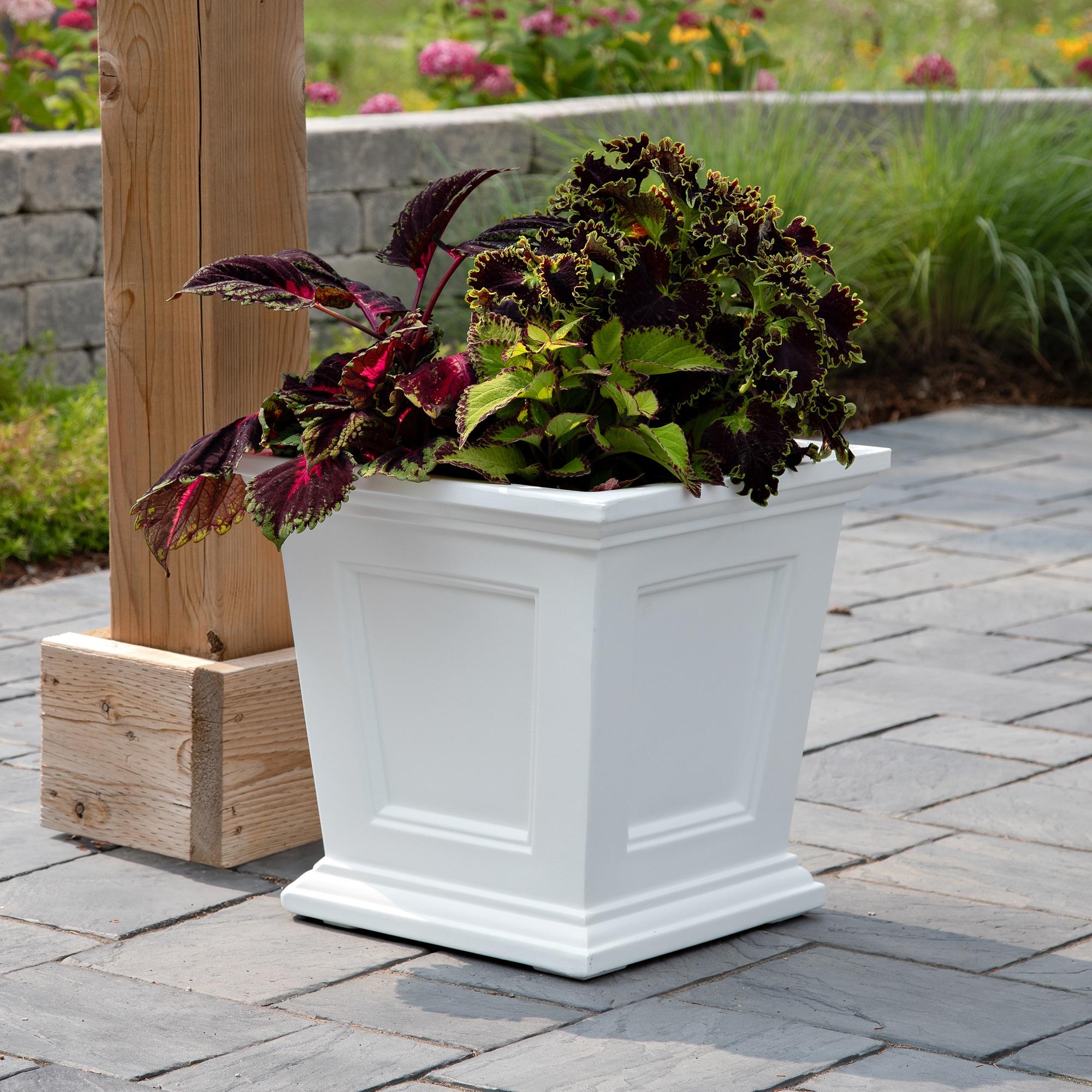 Anastassia Planter Box