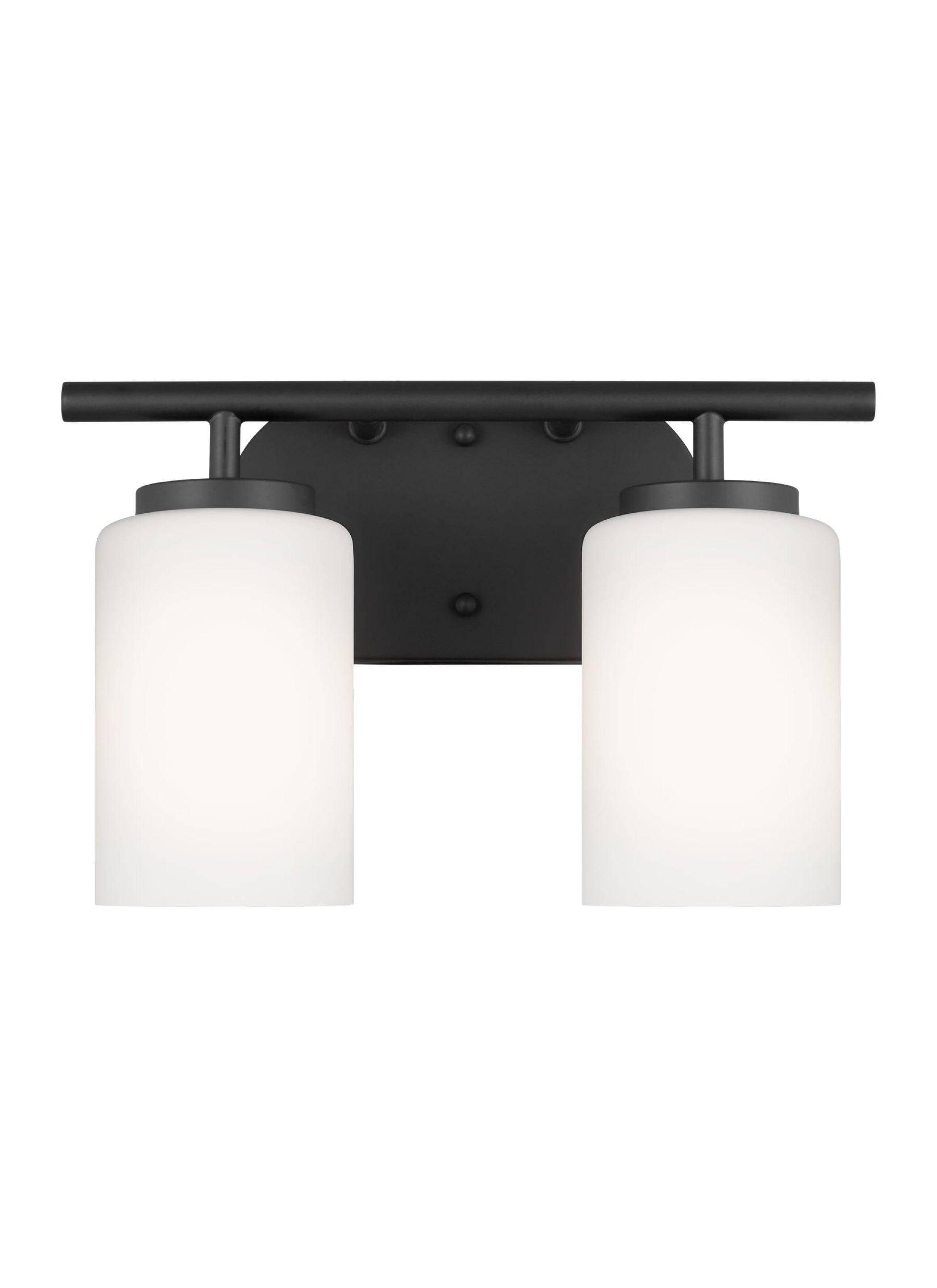 Oslo 12.5 in. 2-Light Midnight Black Transitional Contemporary Bathroom Vanity Light with Cased Opal Etched Glass Shades
