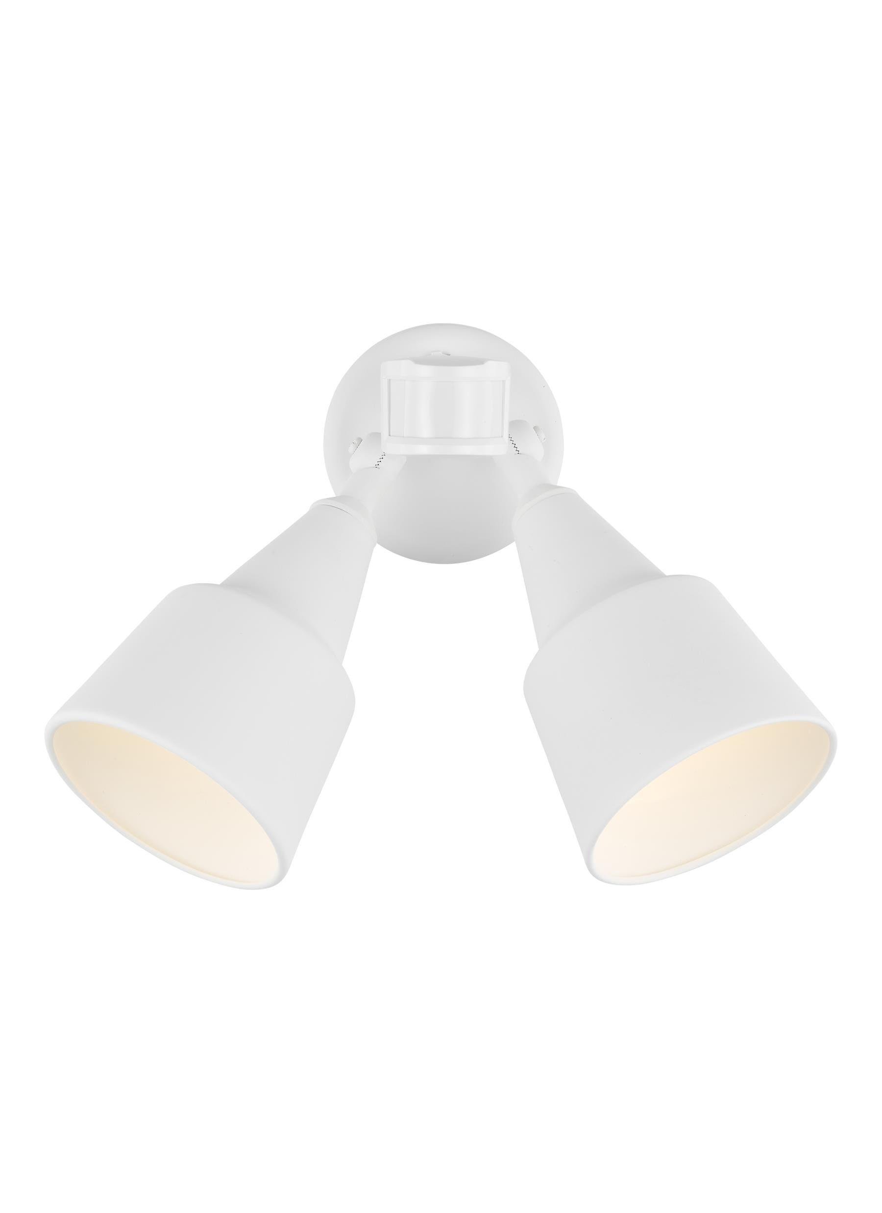 Generation Lighting Collection Metal Flood Light