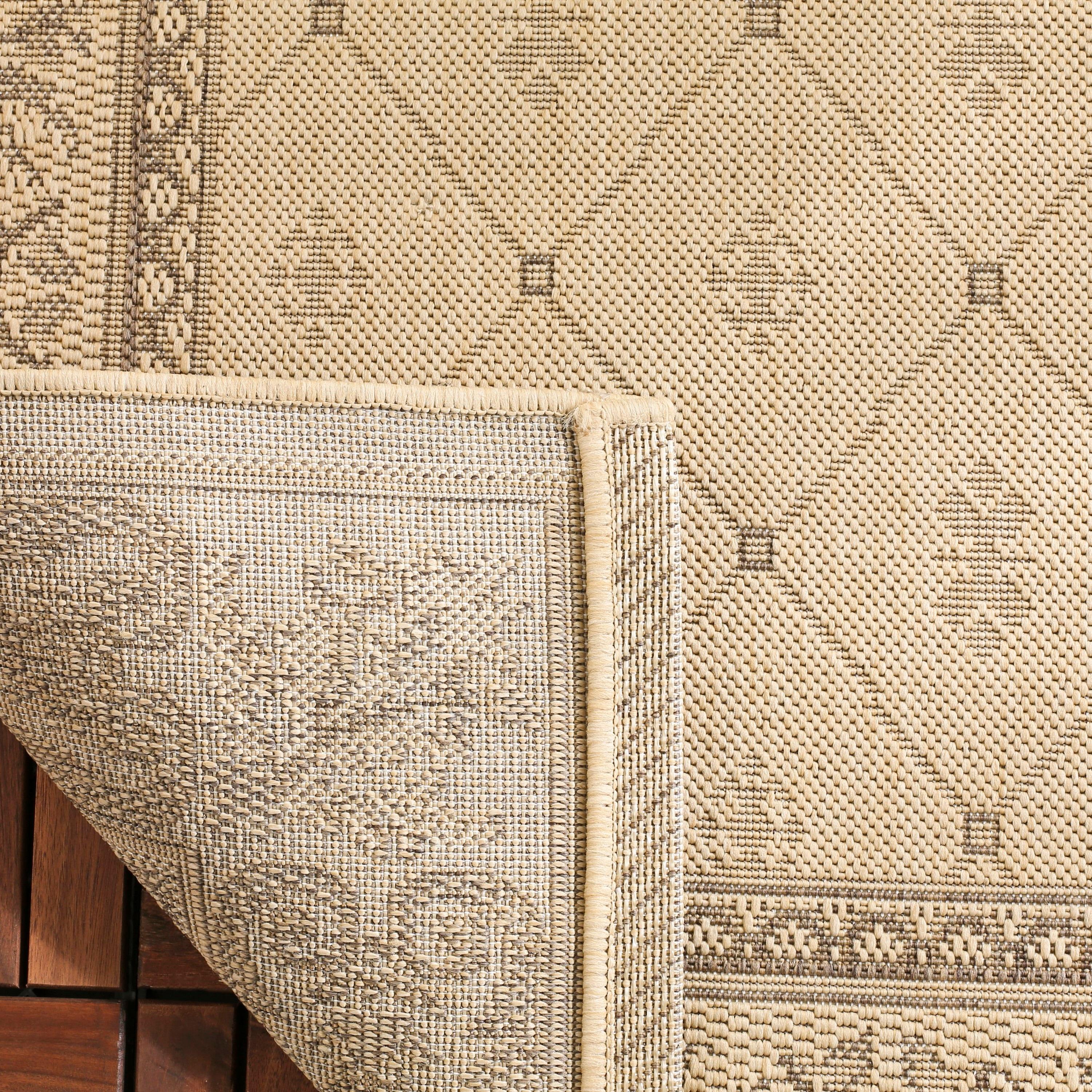 Safavieh Performance Oriental Rug
